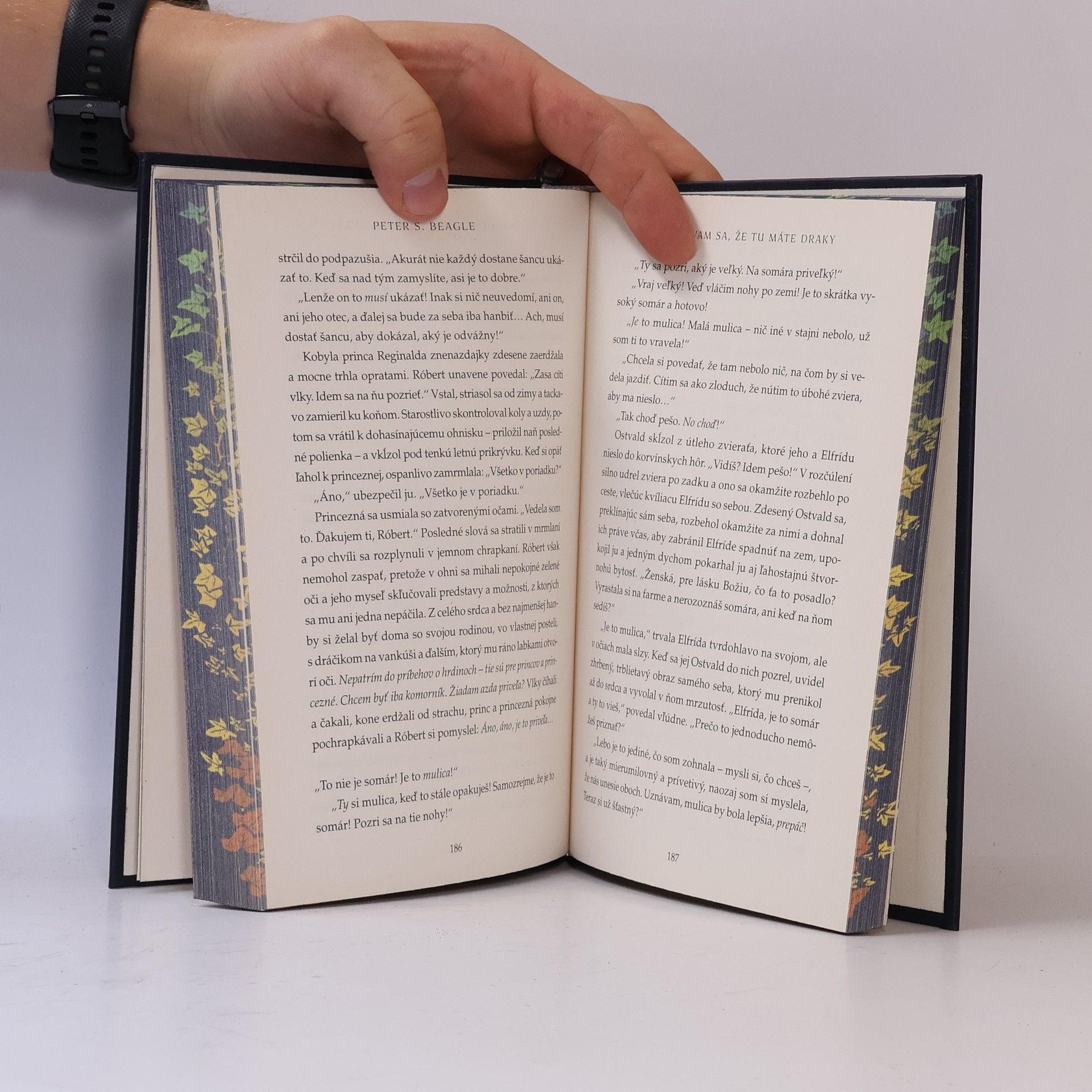 Peter S. Beagle Obávam sa, že tu máte draky