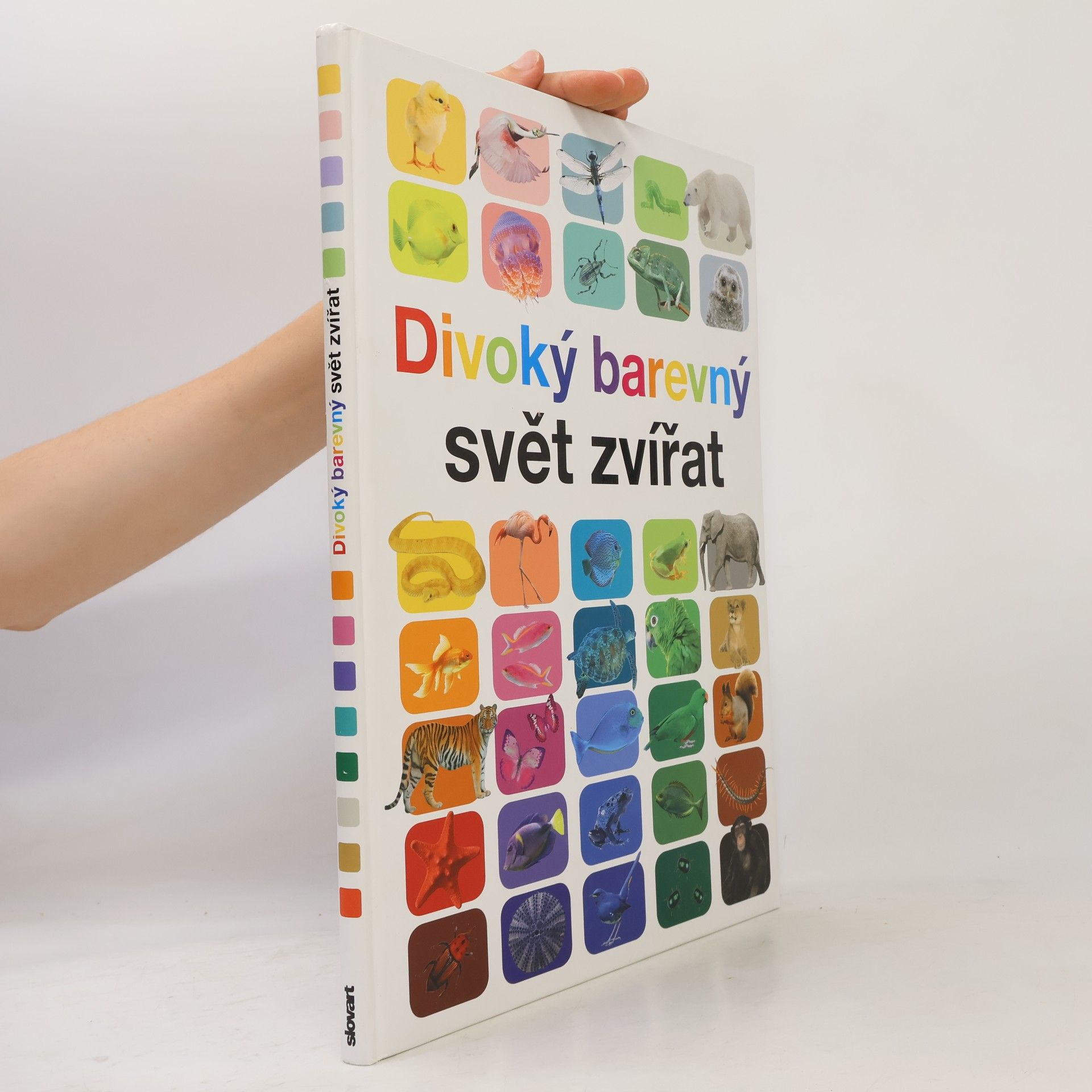 Anita Ganeri Divoký barevný svět zvířat