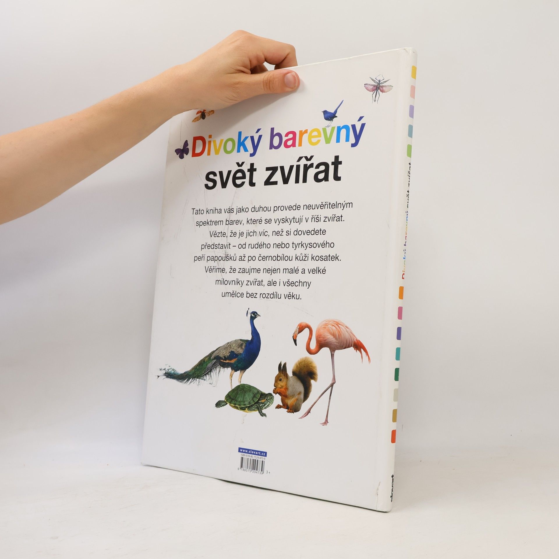 Anita Ganeri Divoký barevný svět zvířat