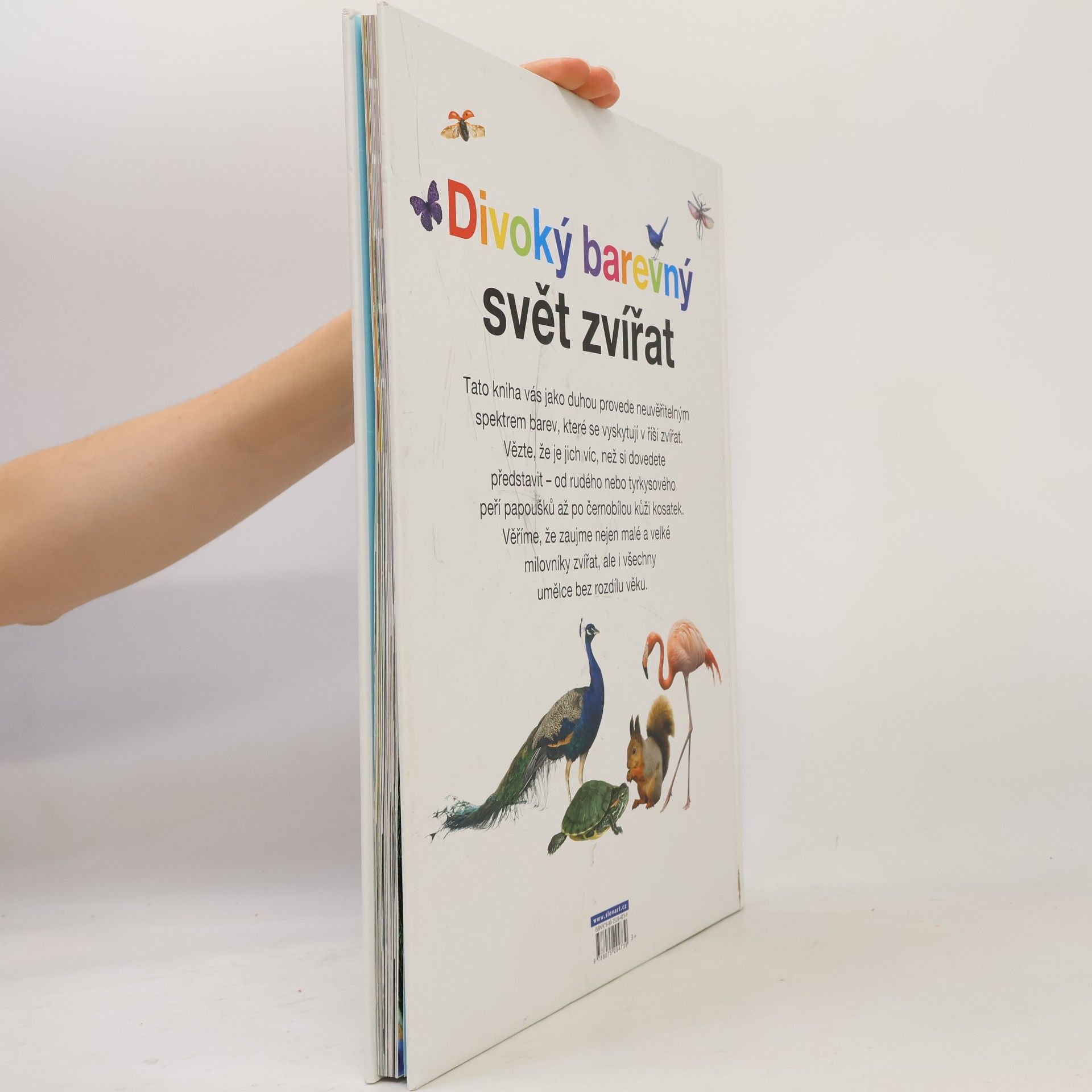 Anita Ganeri Divoký barevný svět zvířat