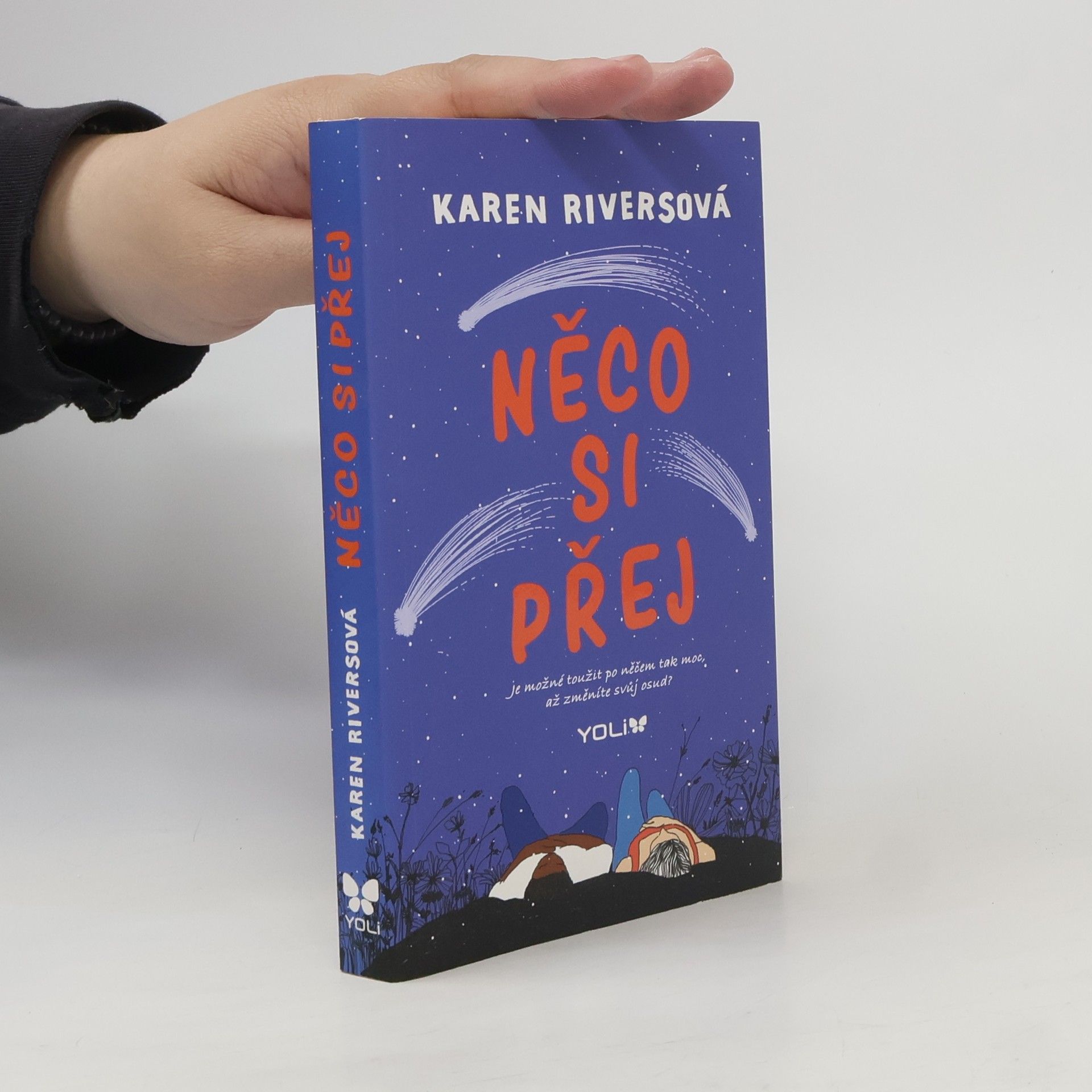 Karen Rivers Něco si přej