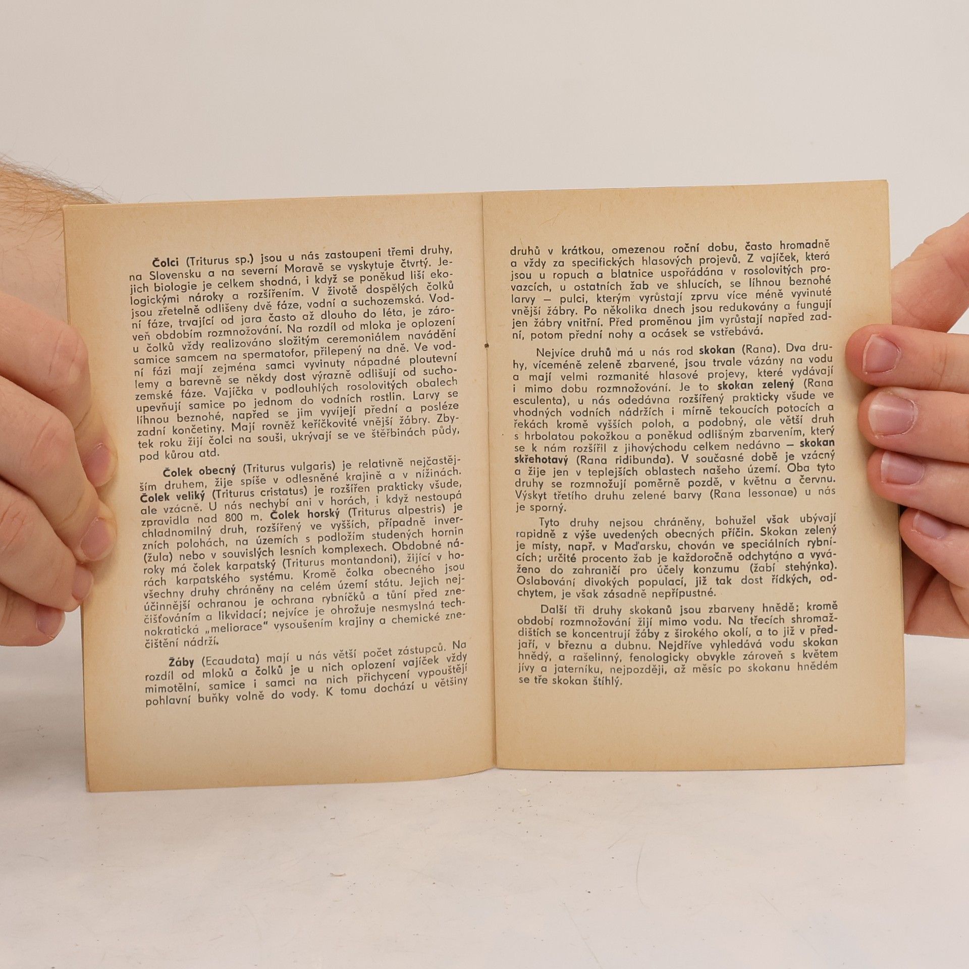 Autorenkollektiv Ochrana obojživelníků