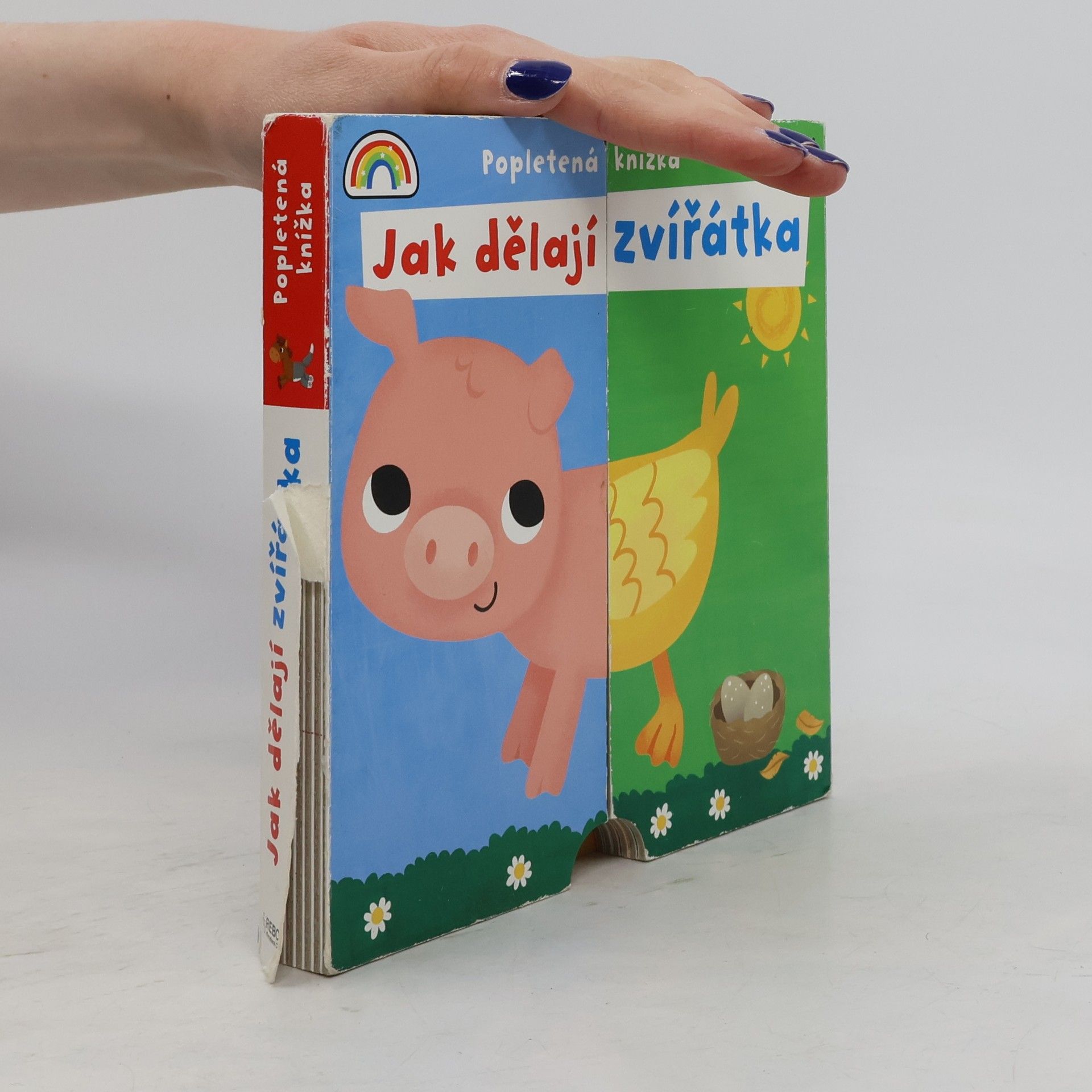 Kolektiv autorů Jak dělají zvířátka