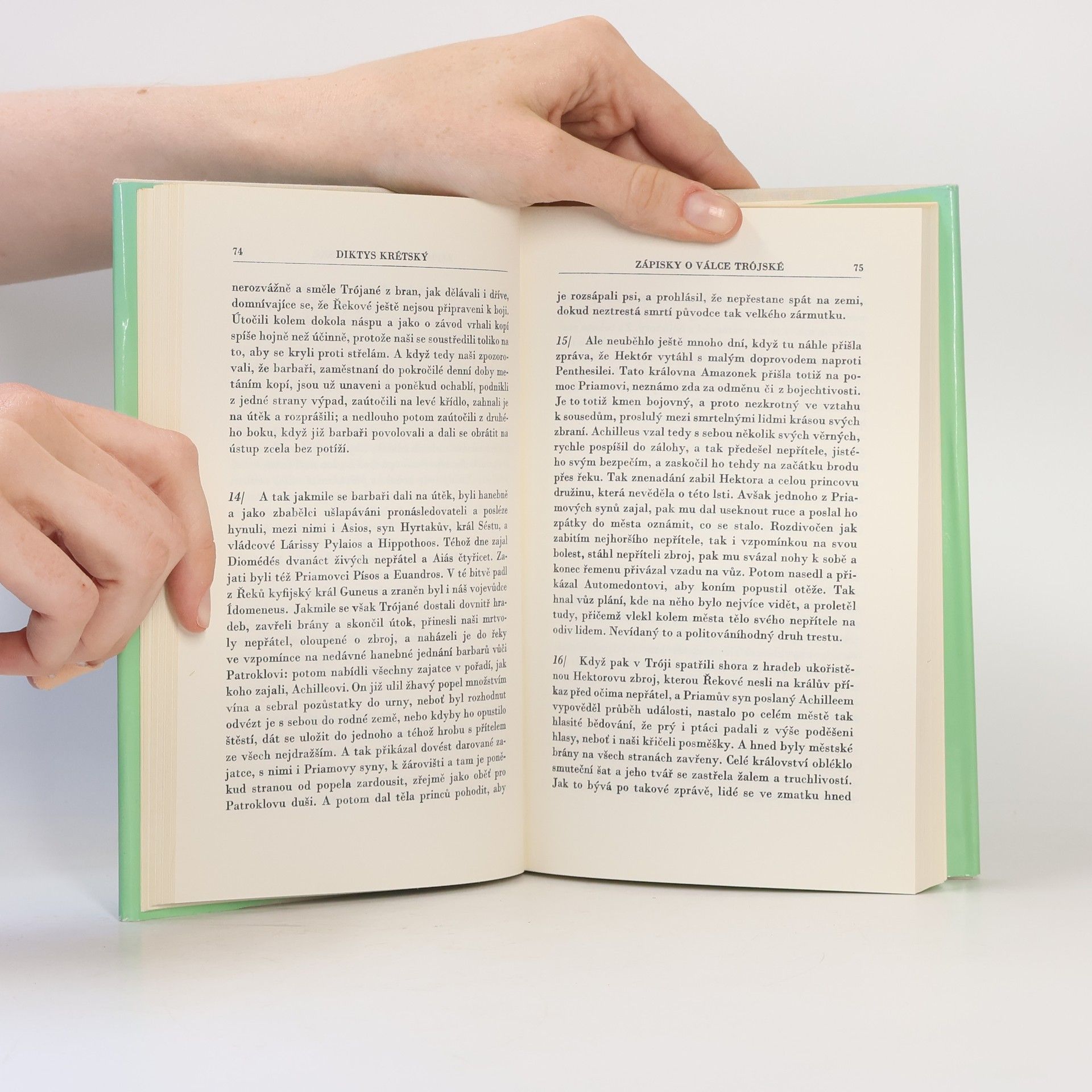 Autorenkollektiv Homérští hrdinové ve vzpomínkách věků