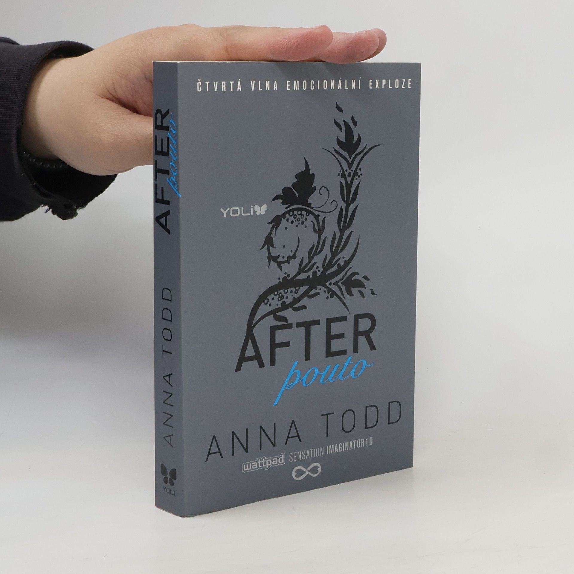 Anna Todd After. Pouto