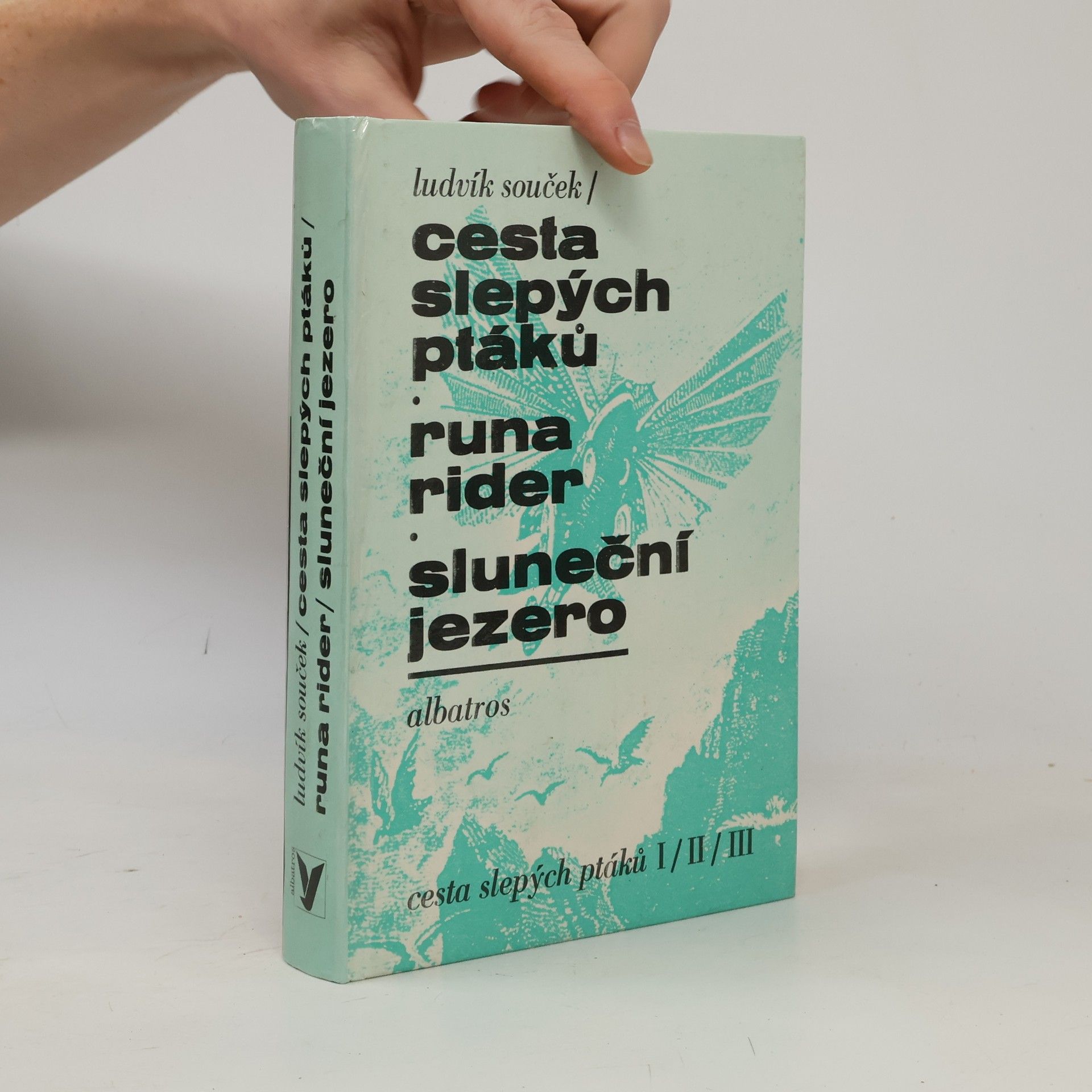 Ludvík Souček Cesta slepých ptáků. Runa rider. Sluneční jezero
