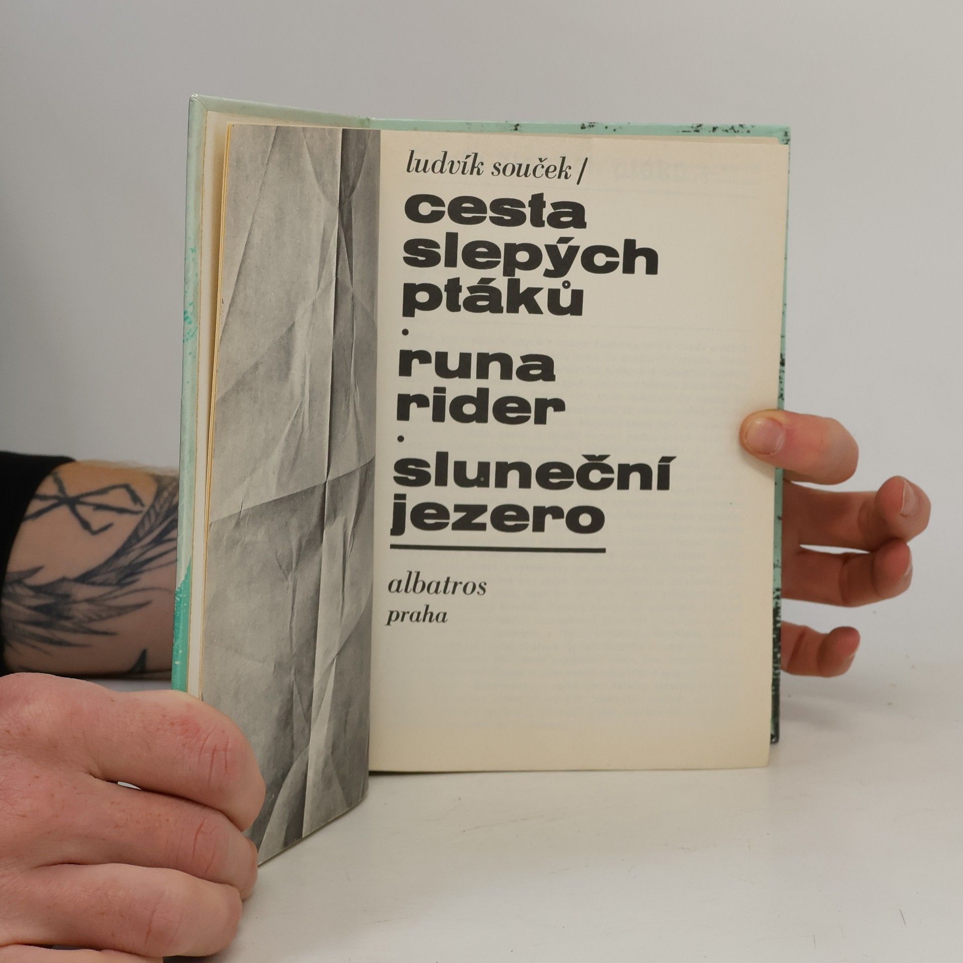 Ludvík Souček Cesta slepých ptáků. Runa rider. Sluneční jezero