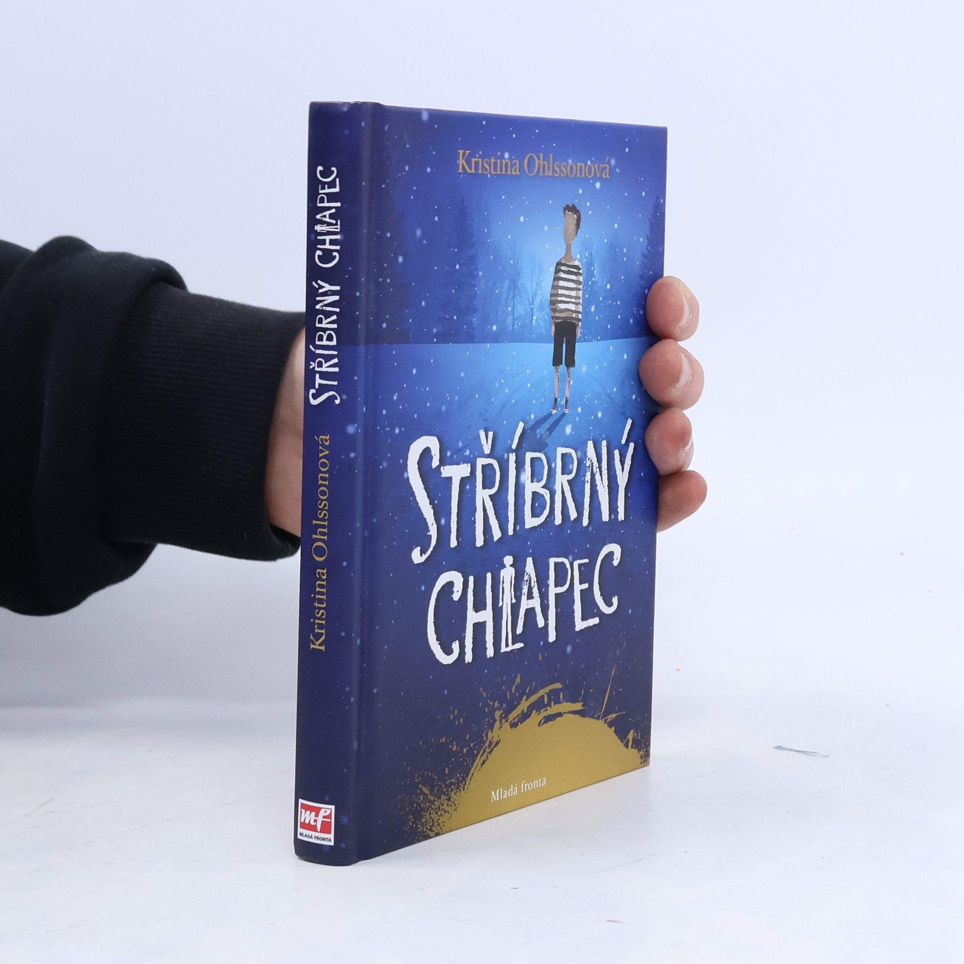 Kristina Ohlsson Stříbrný chlapec