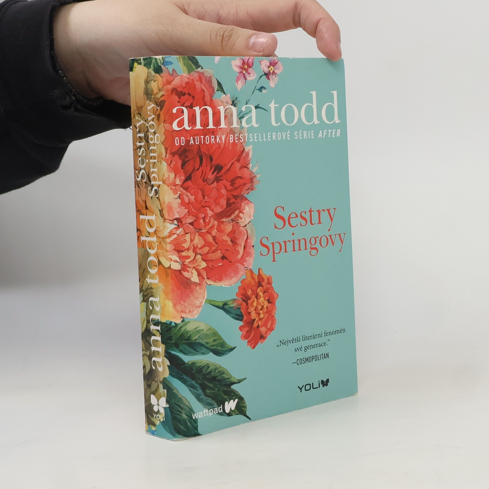 Anna Todd Sestry Springovy