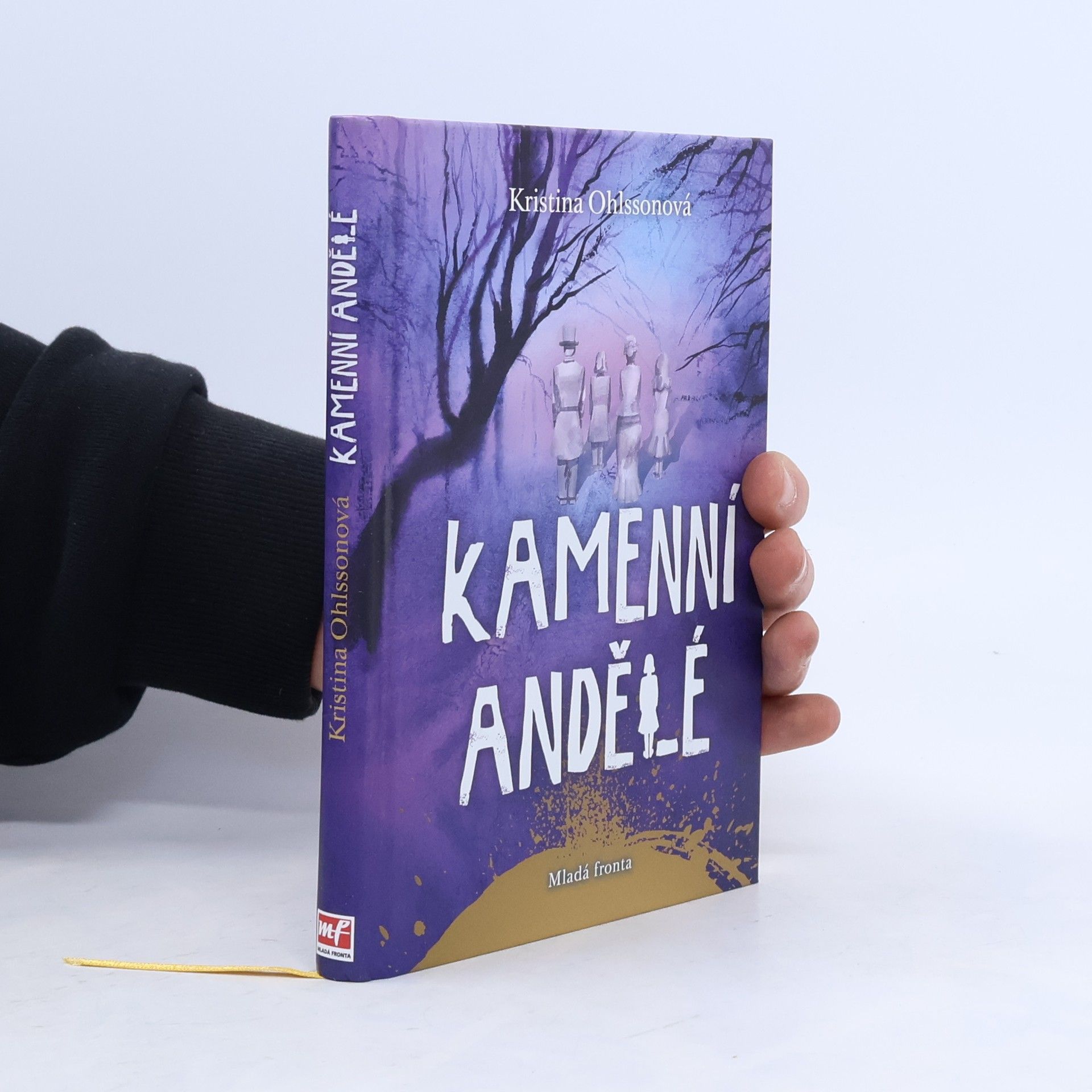 Kristina Ohlsson Kamenní andělé