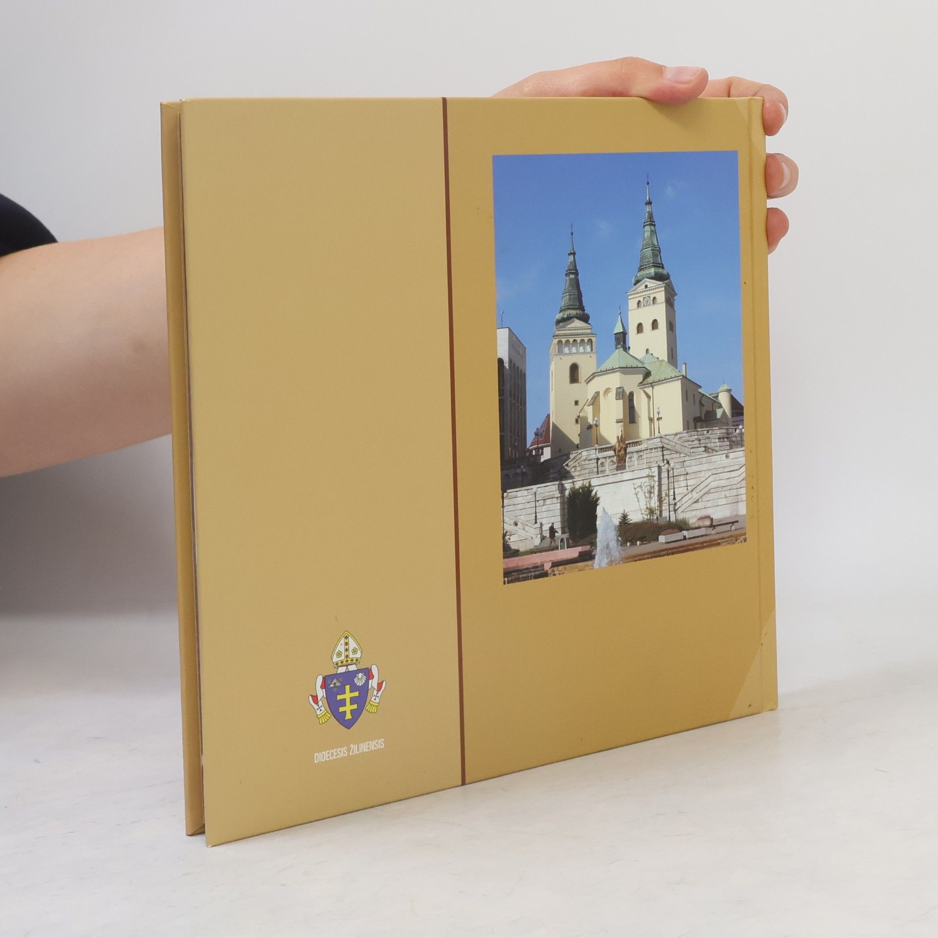 Kolektiv autorů Žilinská diecéza 2008-2018
