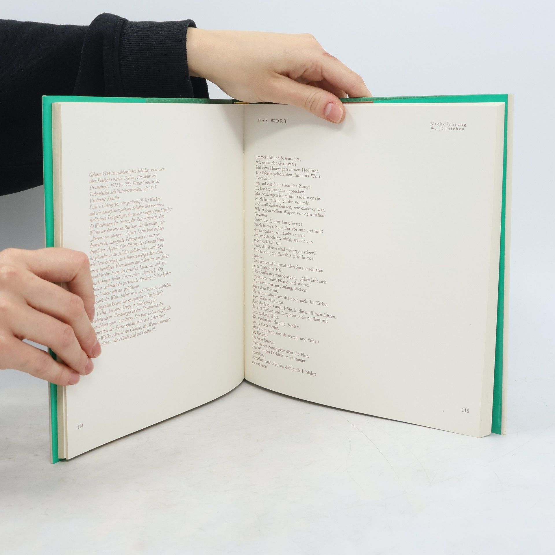 Autorenkollektiv Gesang der Liebe zum Leben