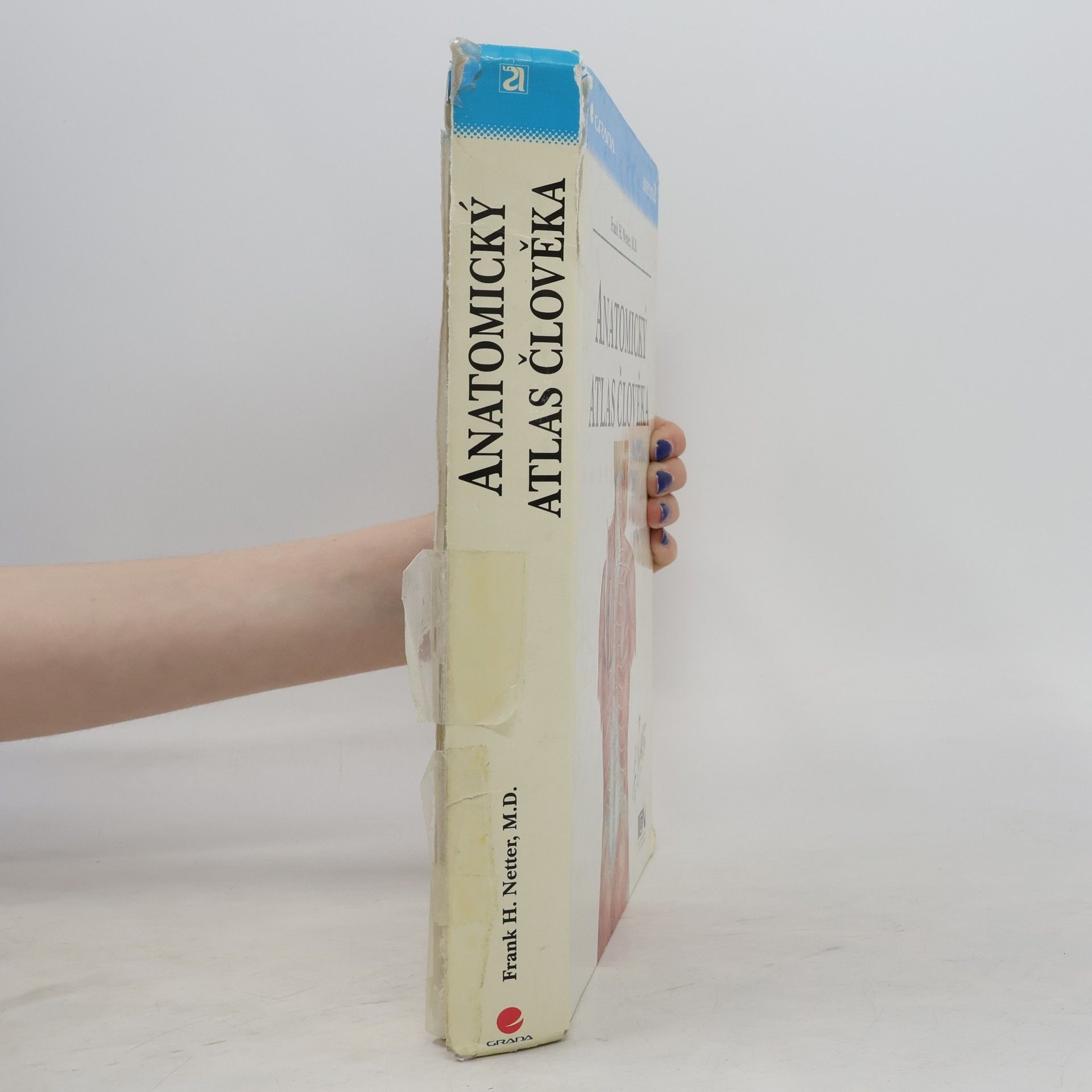 Frank Netter Anatomický atlas člověka