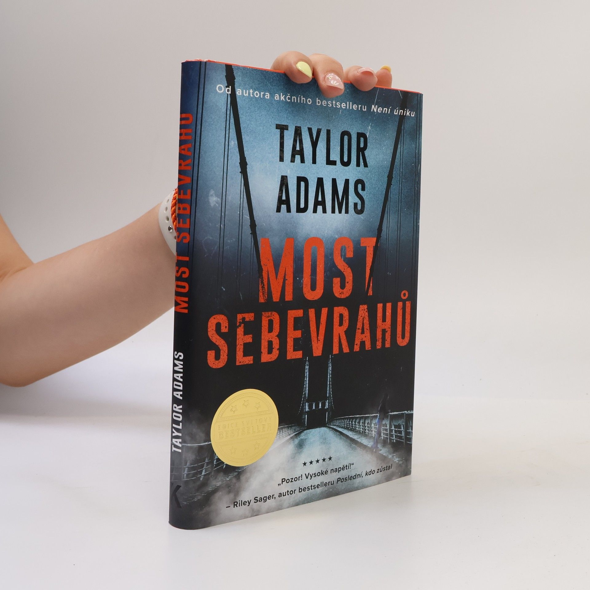 Taylor Adams Most sebevrahů