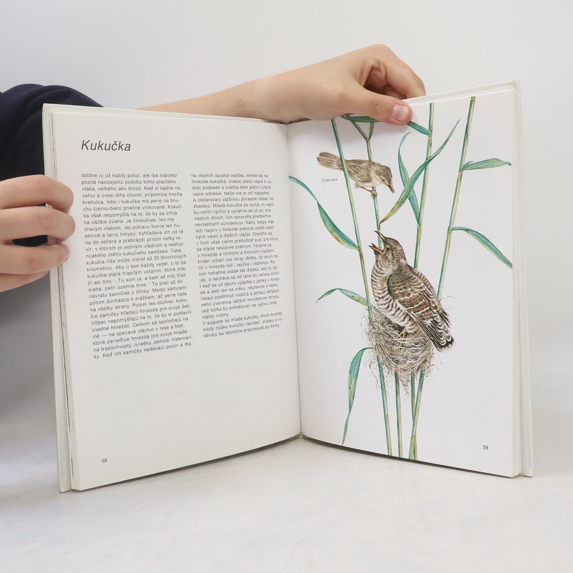 Erns W. Bauer Farebný atlas zvierat