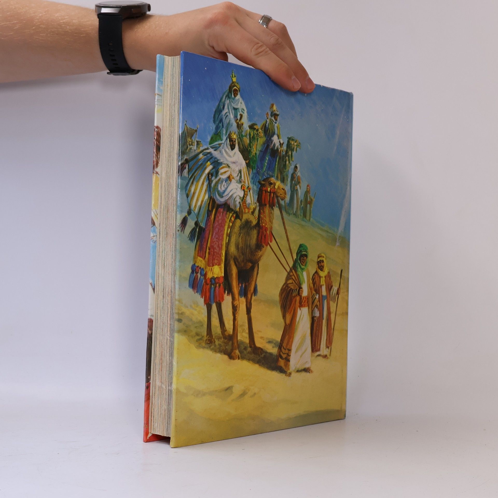 Kolektiv autorů The Bible for Children