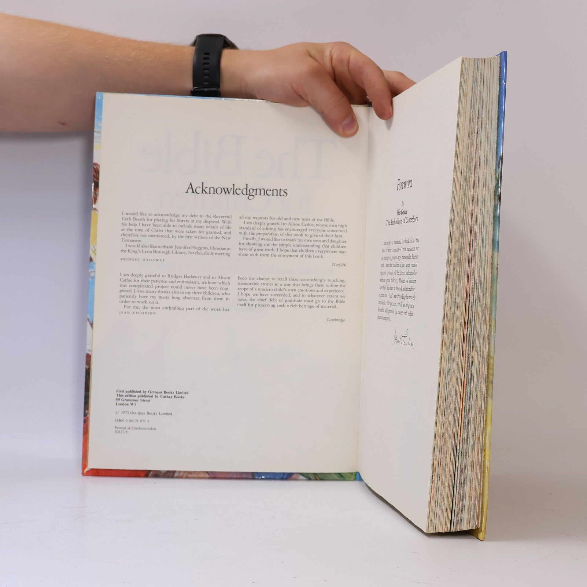 Kolektiv autorů The Bible for Children