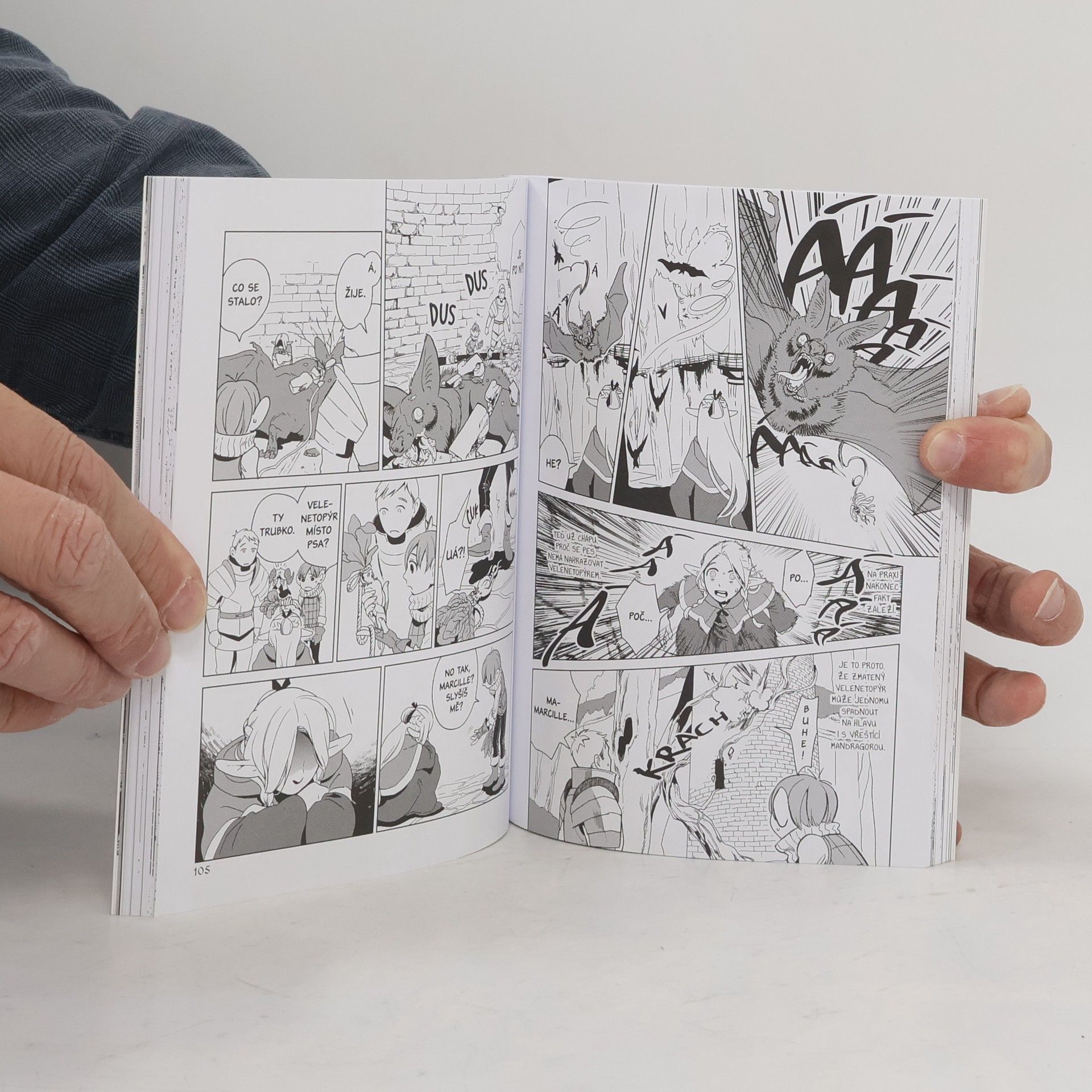Rjóko Kui Delicious and dungeon - Chuť podzemí