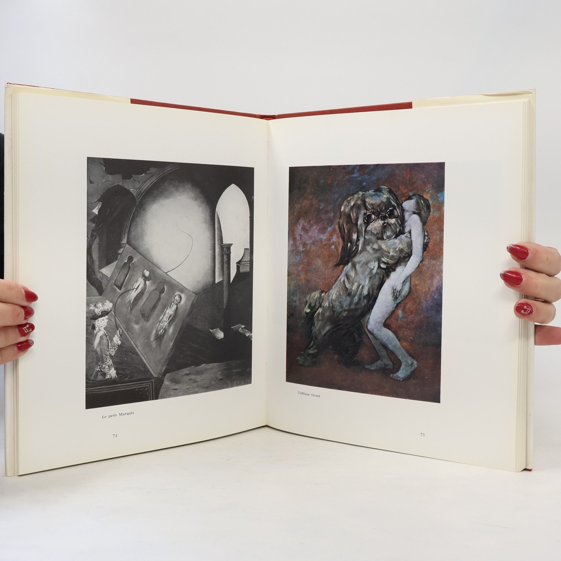 Auteurscollectief La peinture de Dorothea Tanning