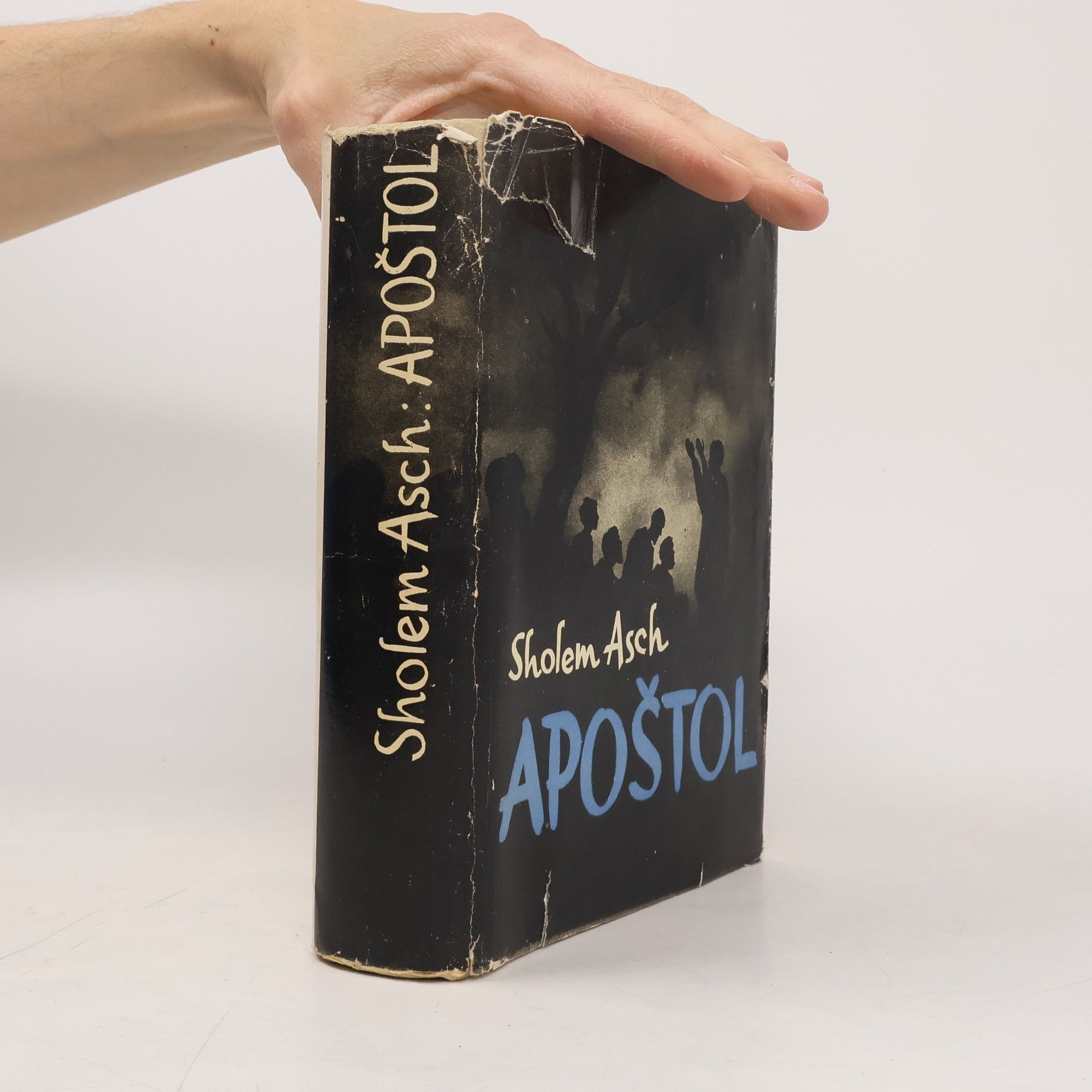 Sholem Asch Apoštol