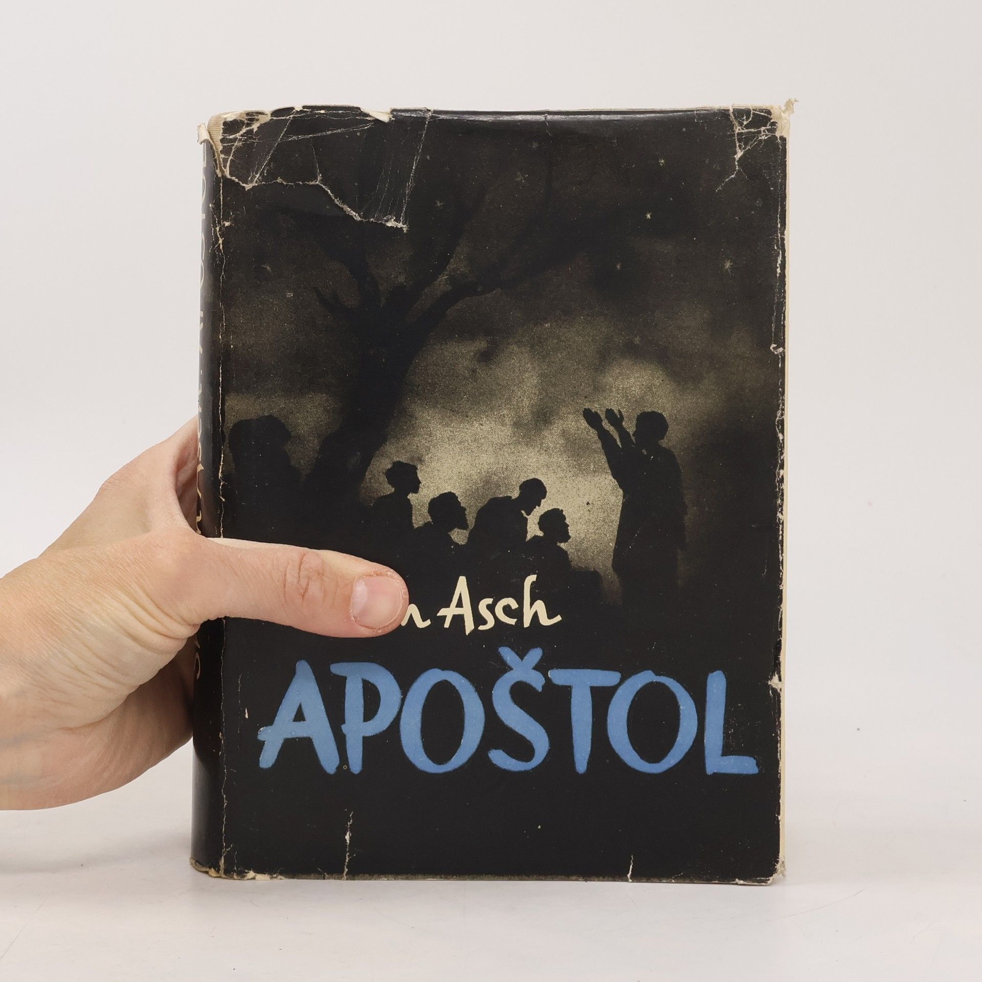 Sholem Asch Apoštol