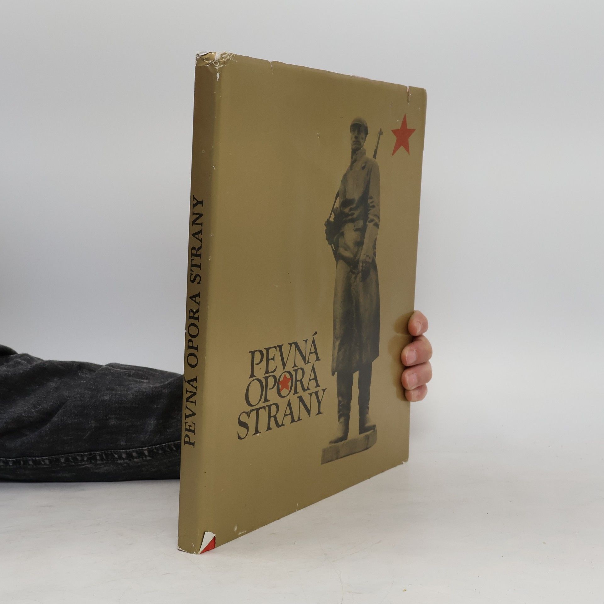 Autorenkollektiv Pevná opora strany