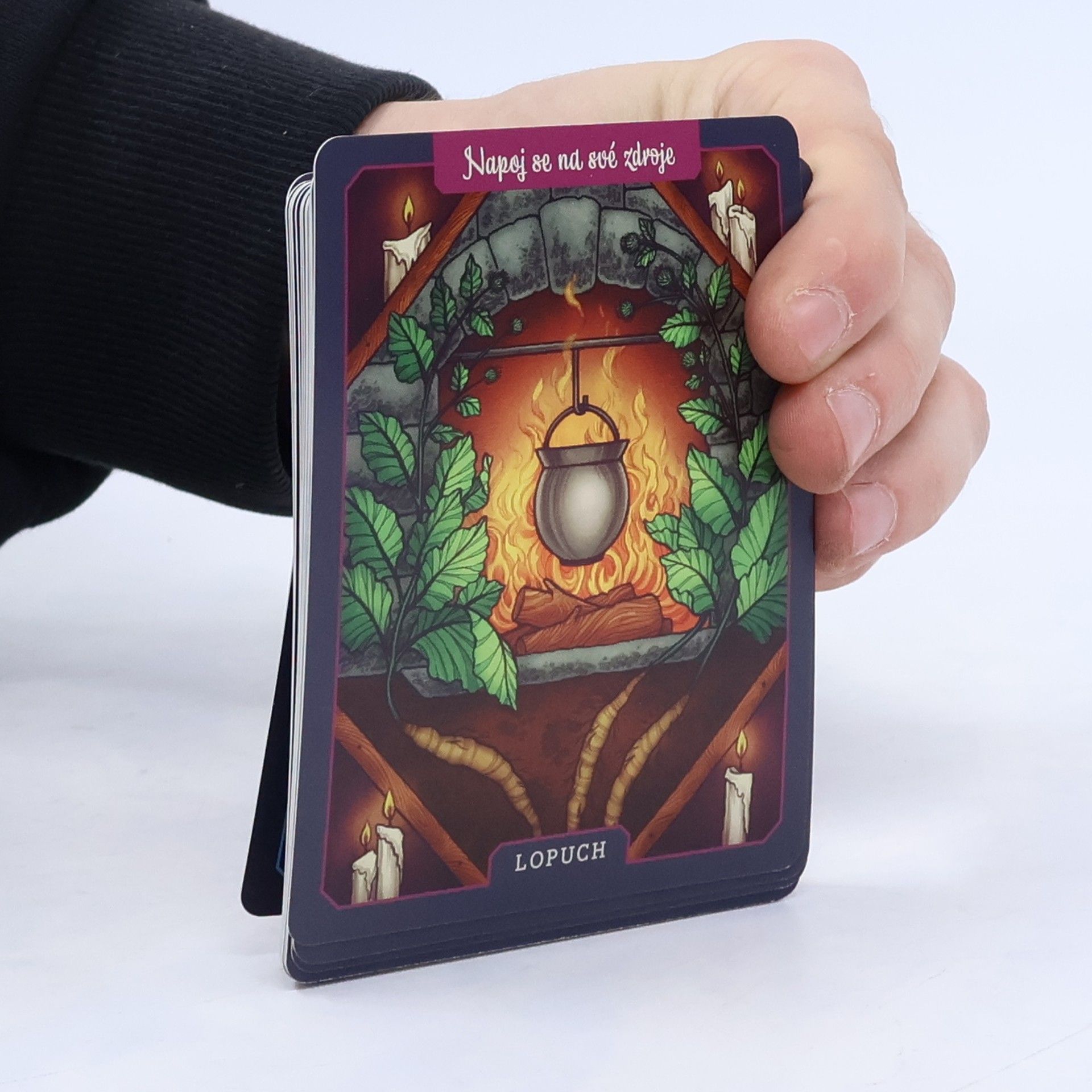 Maia Toll Magické rostliny: 36 léčivých rostlin a jejich poselství