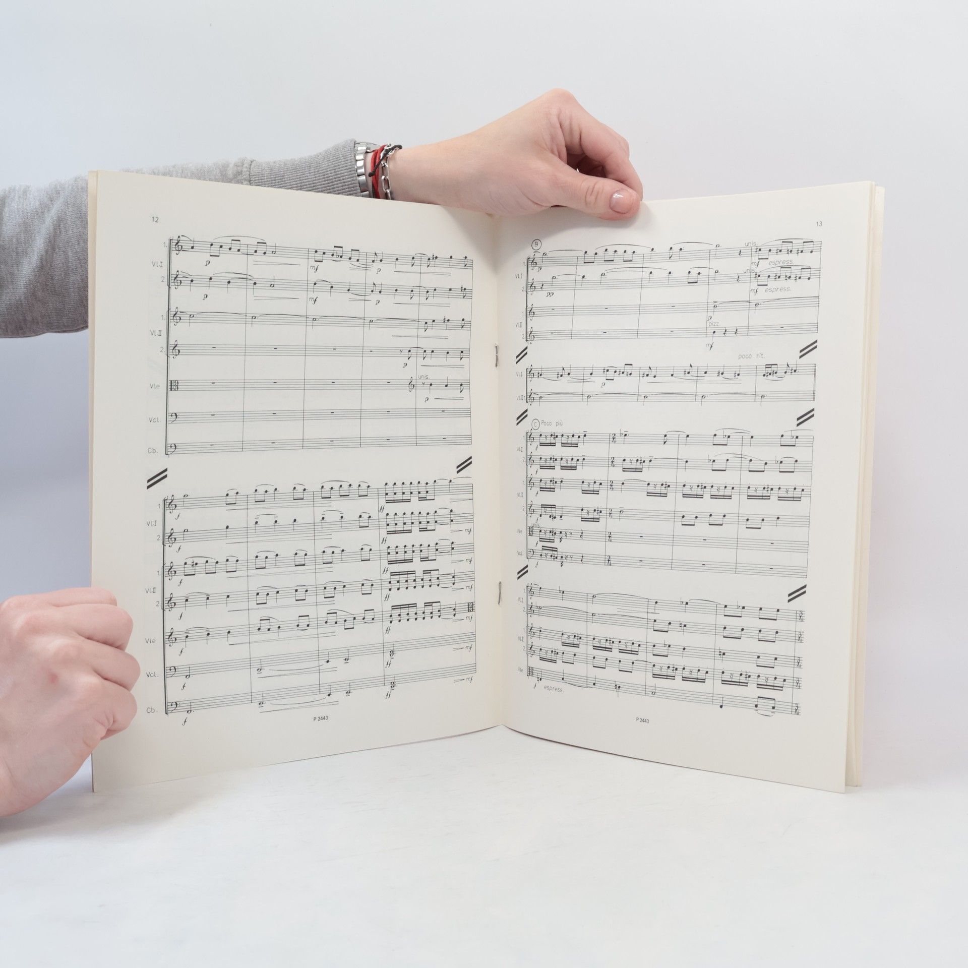 Jan Slimáček Sonatina pro smyčce. Sonatina per archi