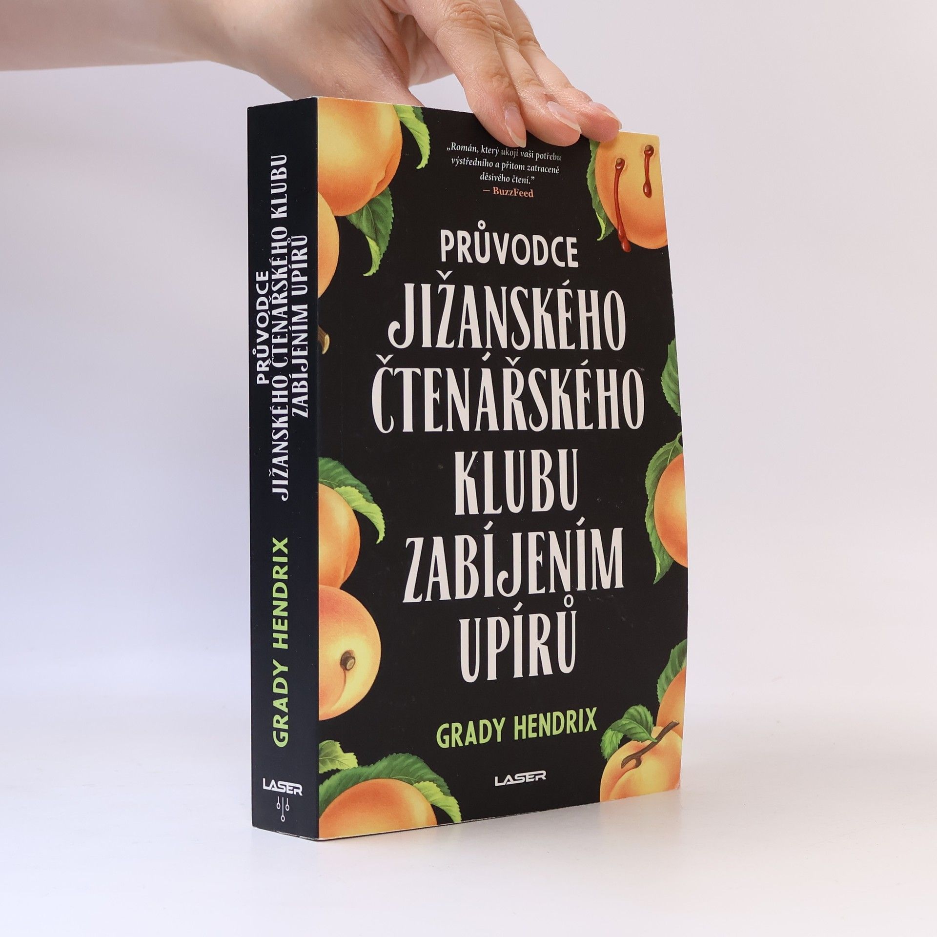 Průvodce jižanského čtenářského klubu zabíjením upírů