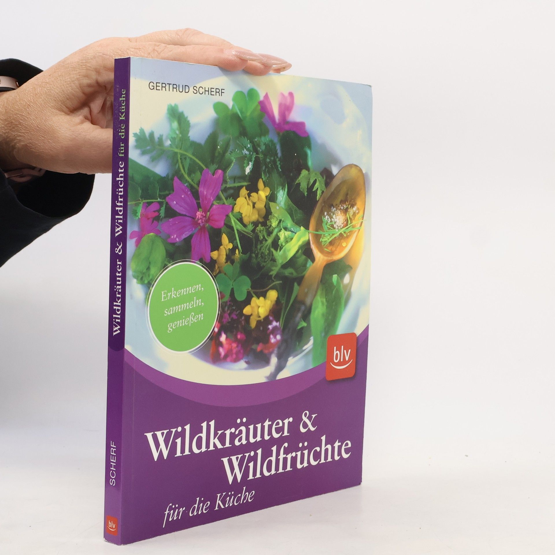 Gertrud Scherf Wildkräuter & Wildfrüchte für die Küche