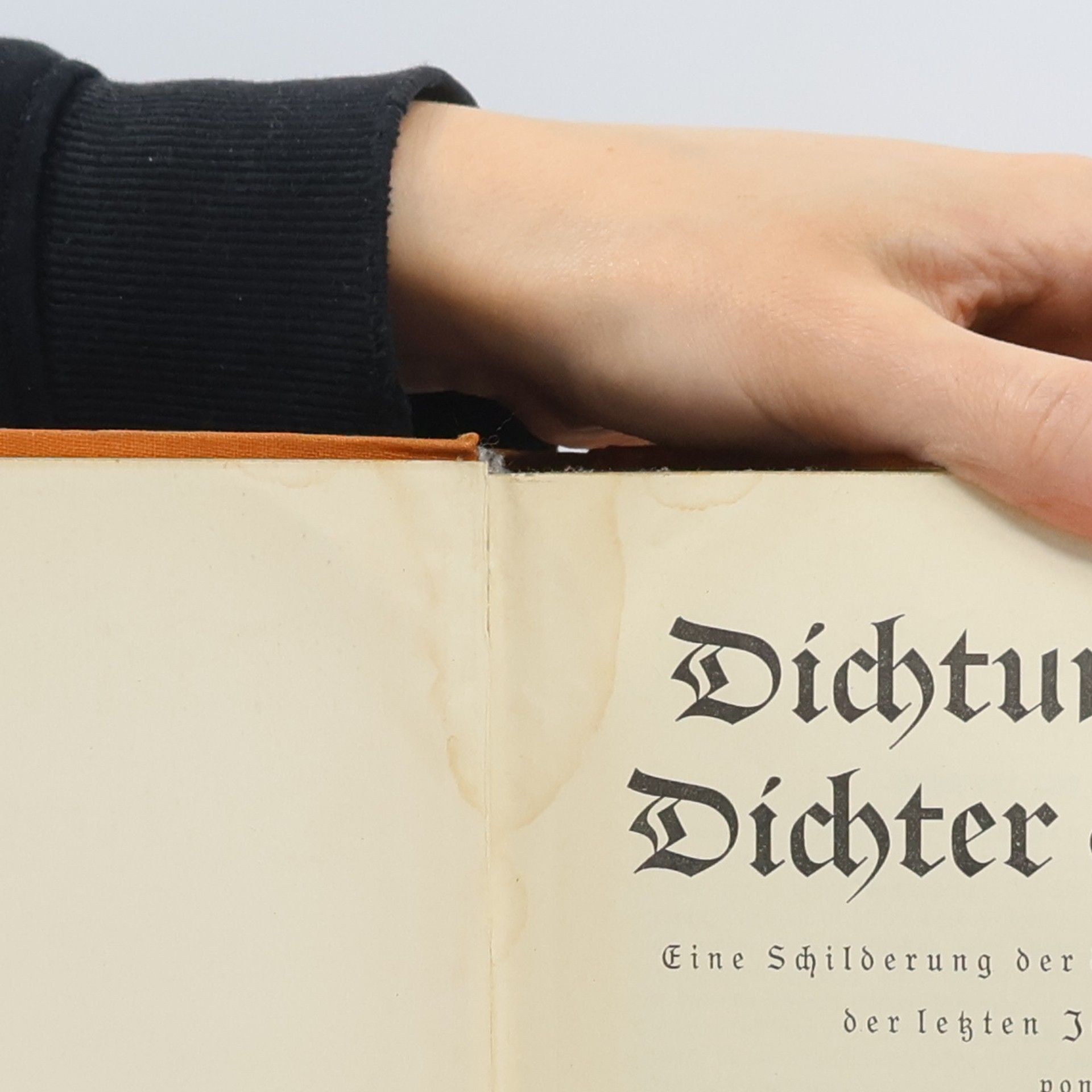 Albert Soergel Dichtung und Dichter der Zeit