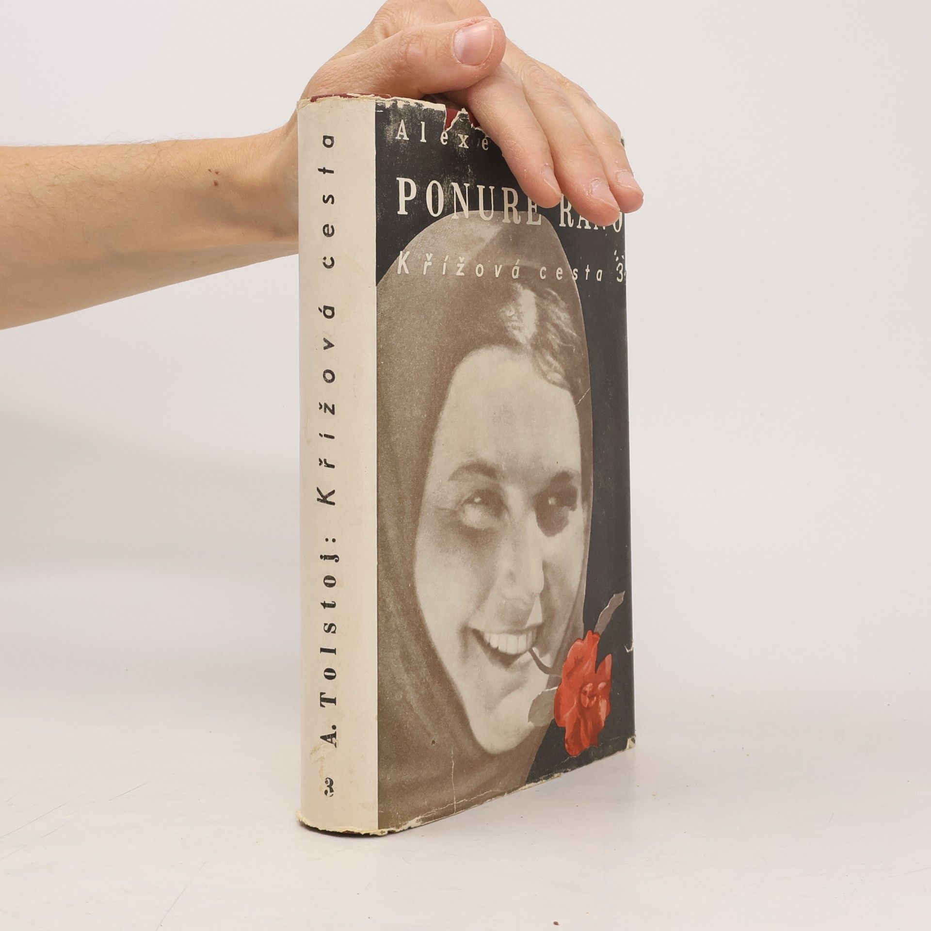 Lev Nikolajevič Tolstoj Křížová cesta 3. Ponuré ráno