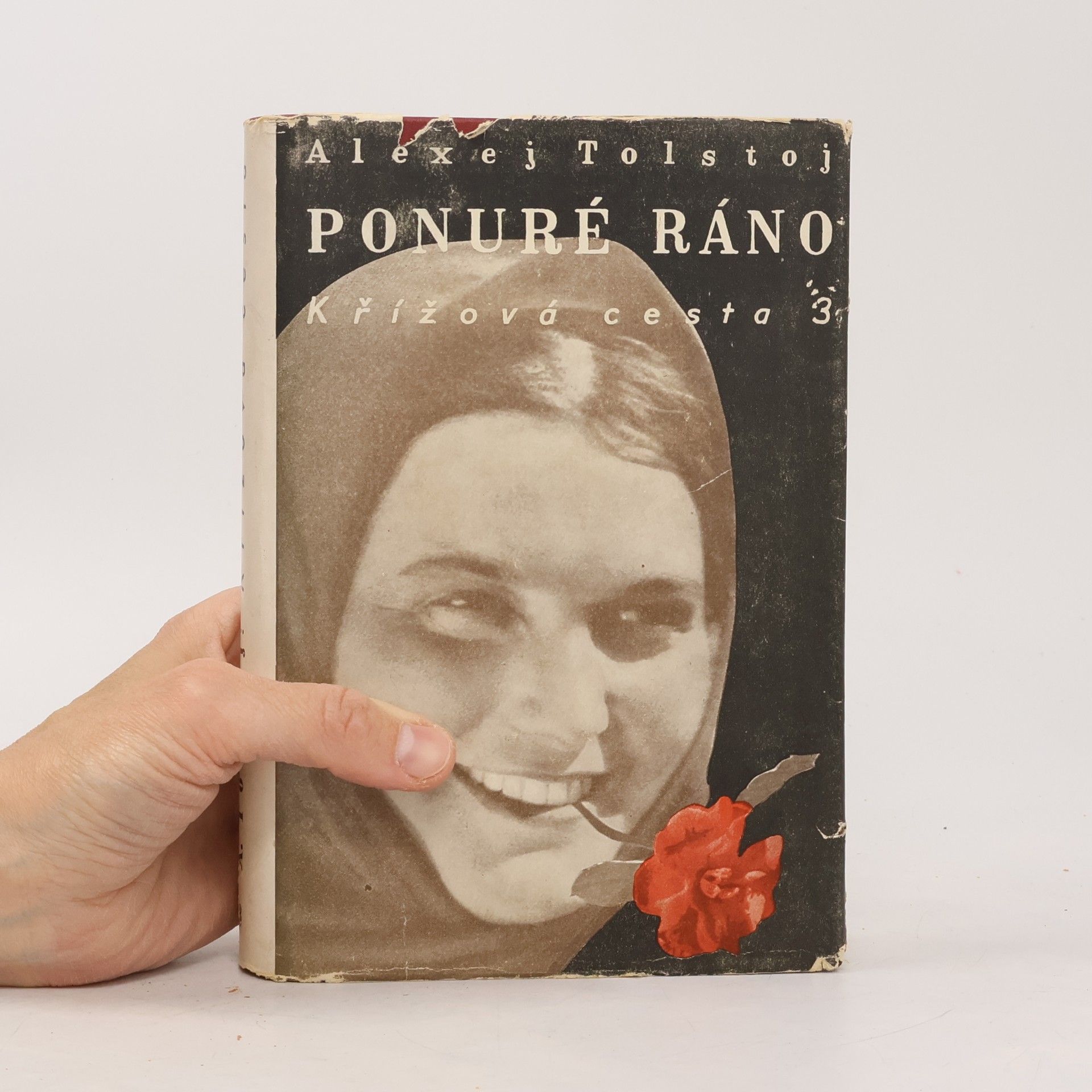 Lev Nikolajevič Tolstoj Křížová cesta 3. Ponuré ráno