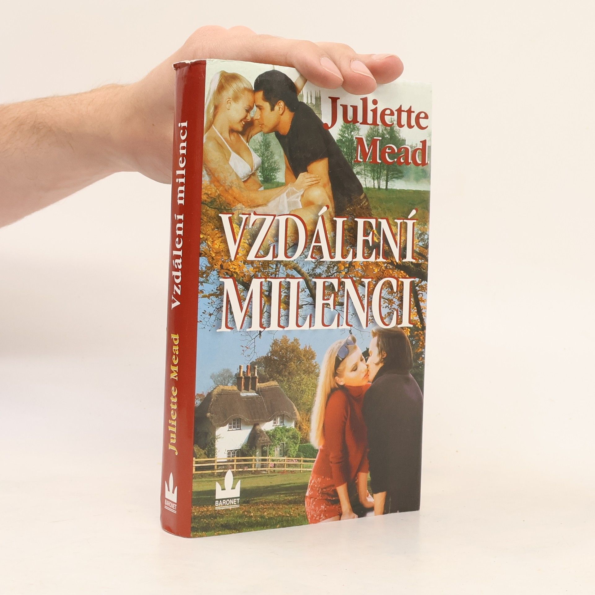 Vzdálení milenci