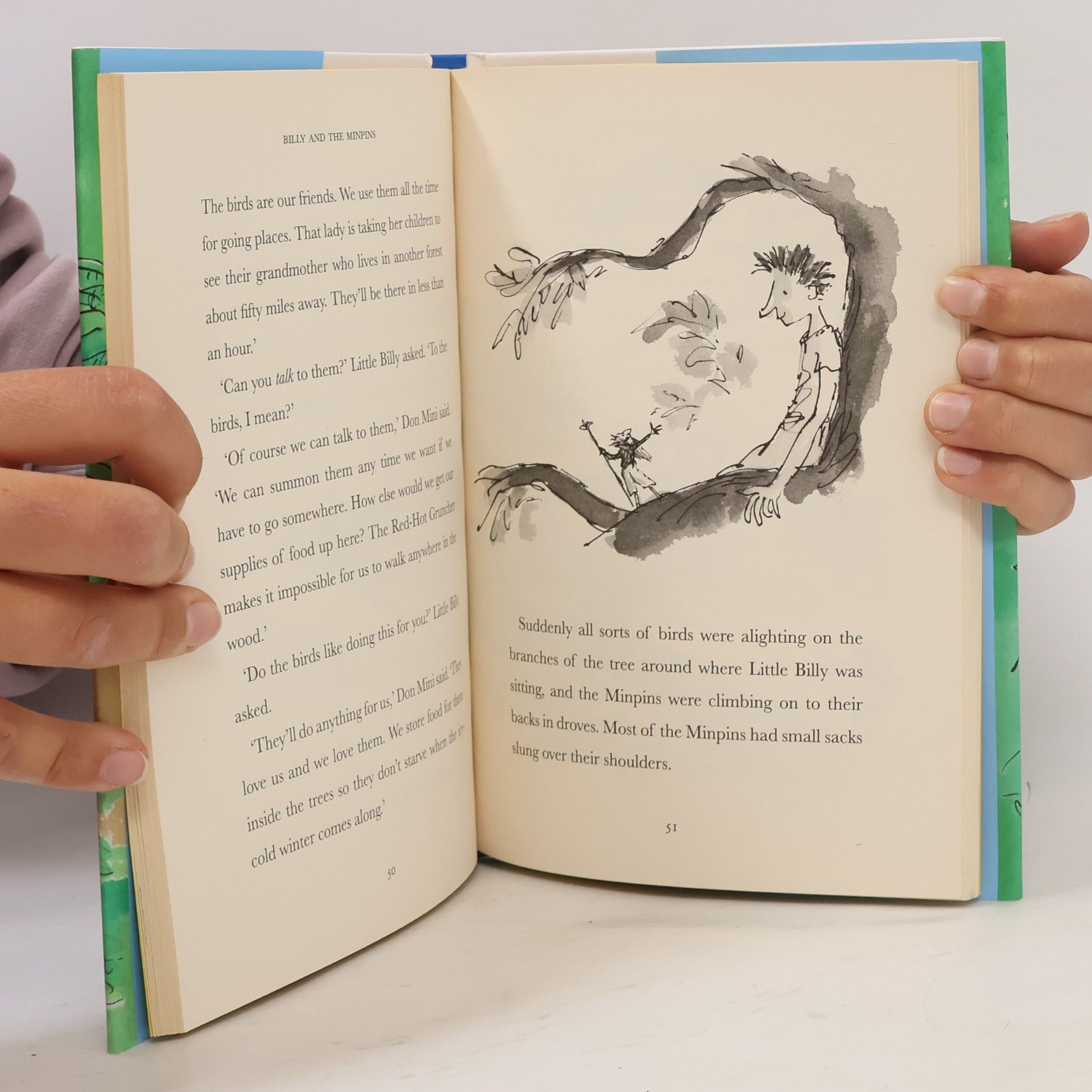 Roald Dahl Billy and the Minpins