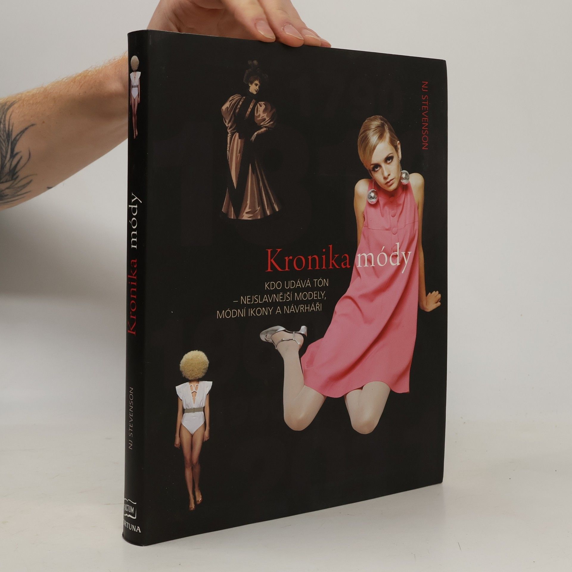N. J. Stevenson Kronika módy. Kdo udává tón - nejslavnější módní ikony a návrháři
