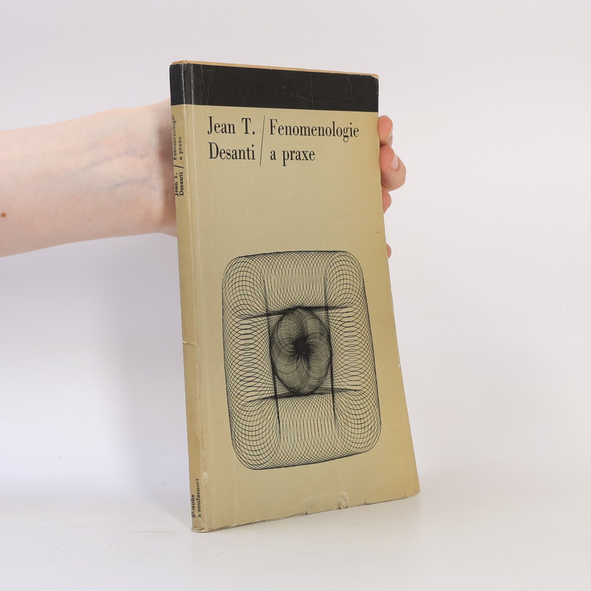 Fenomenologie a praxe