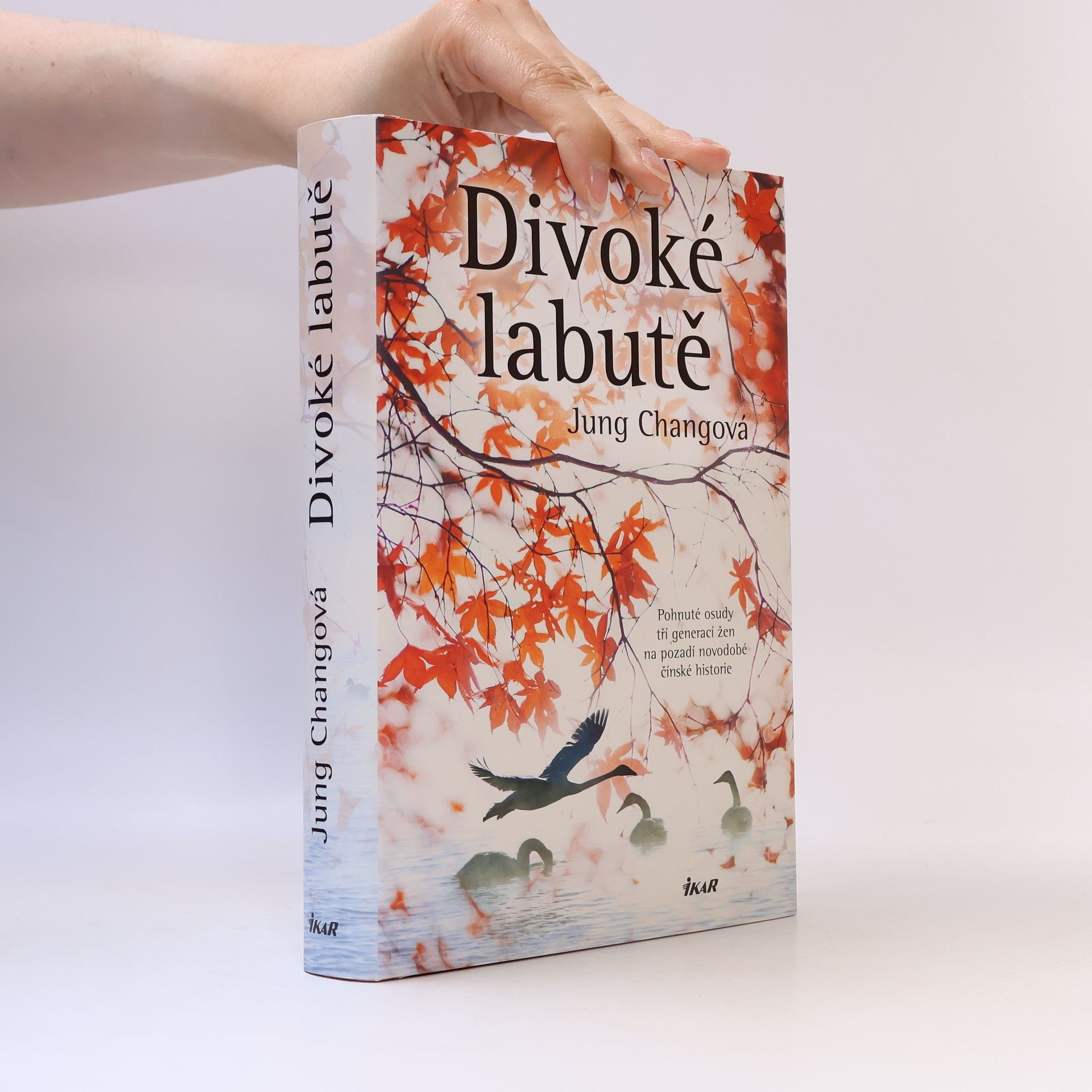 Yong Chang Divoké labutě
