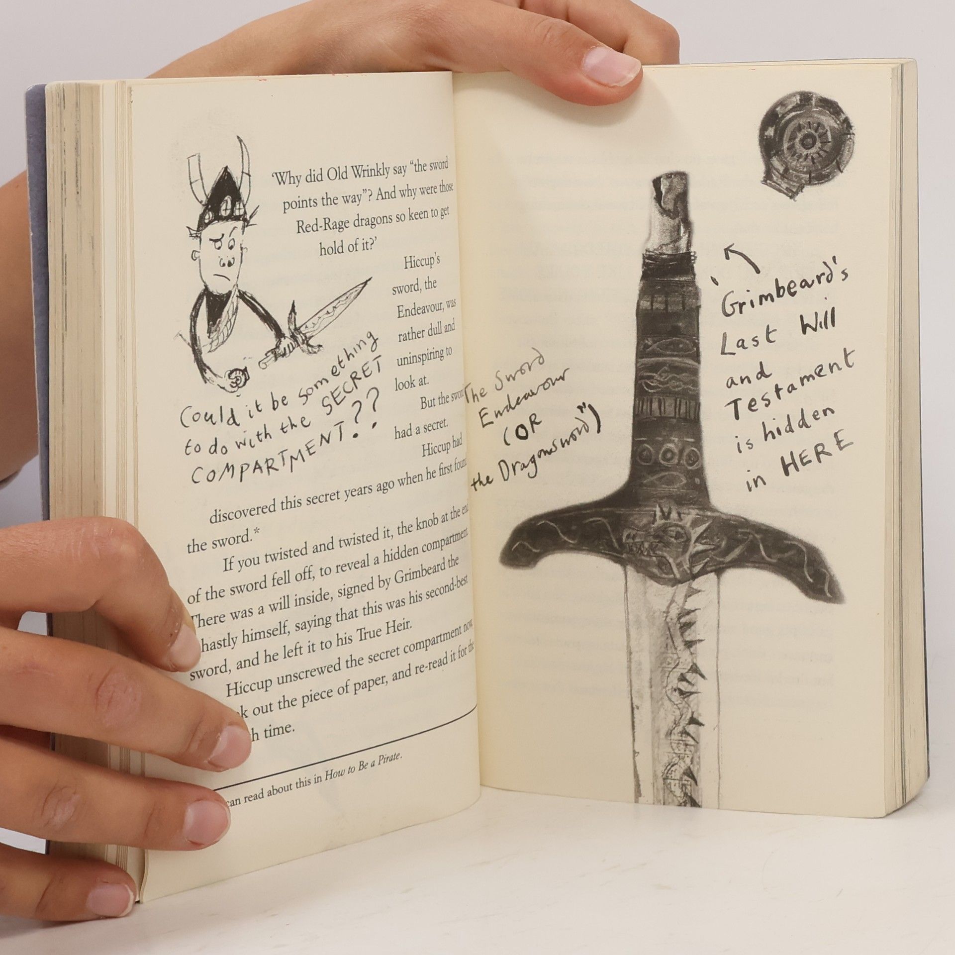 Cressida Cowell How to steal a dragon's sword