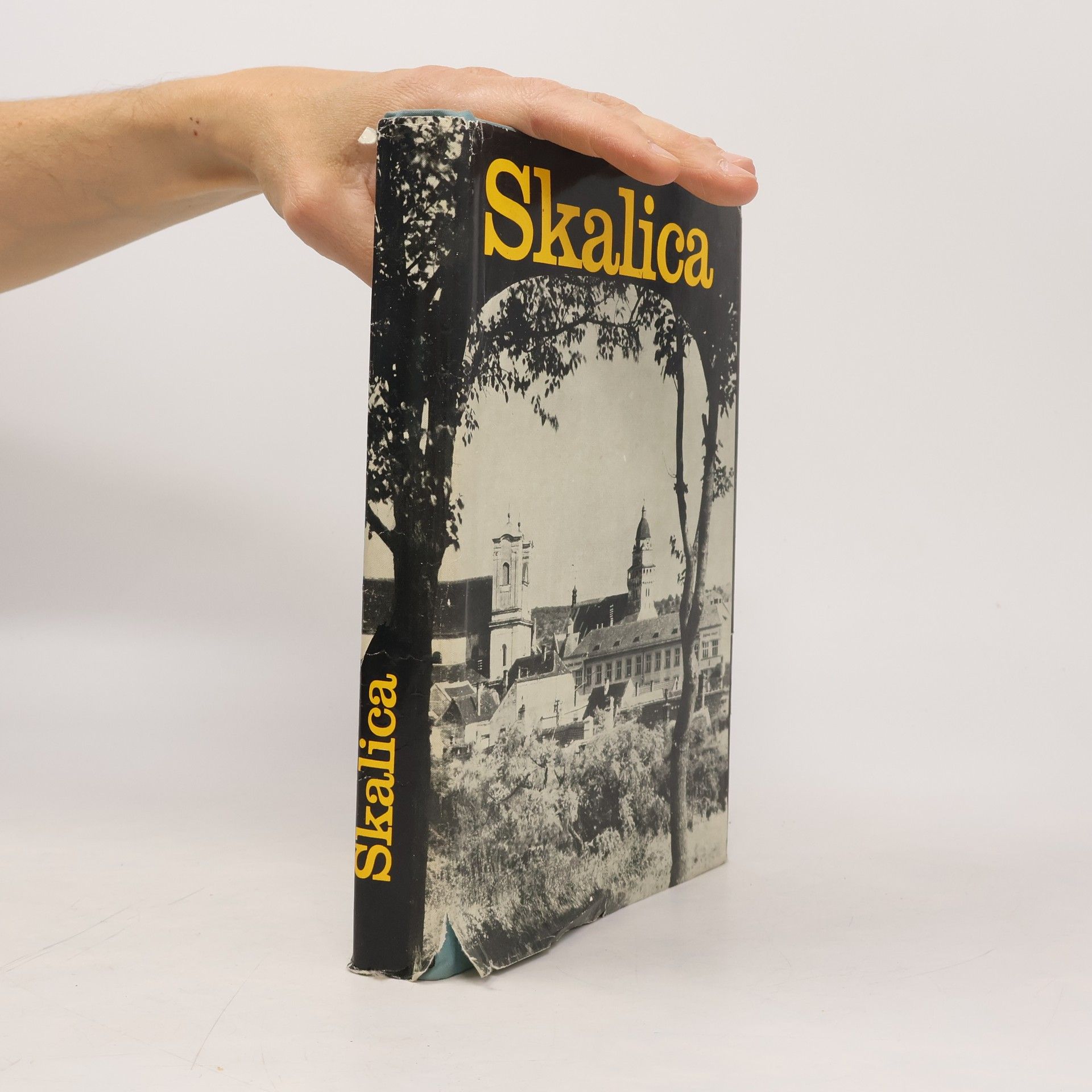 Zora Viestová Skalica v minulosti a dnes