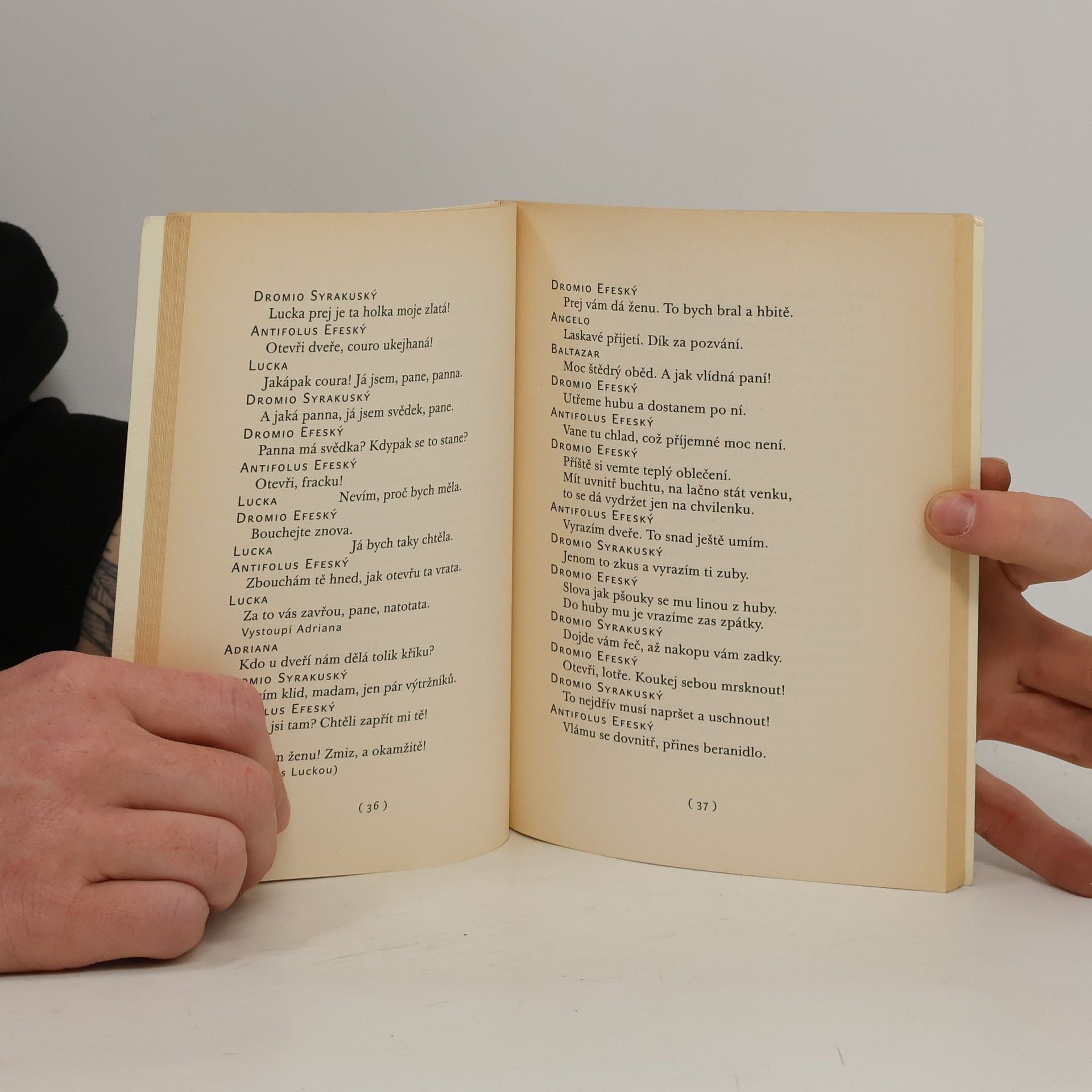 William Shakespeare Komedie omylů