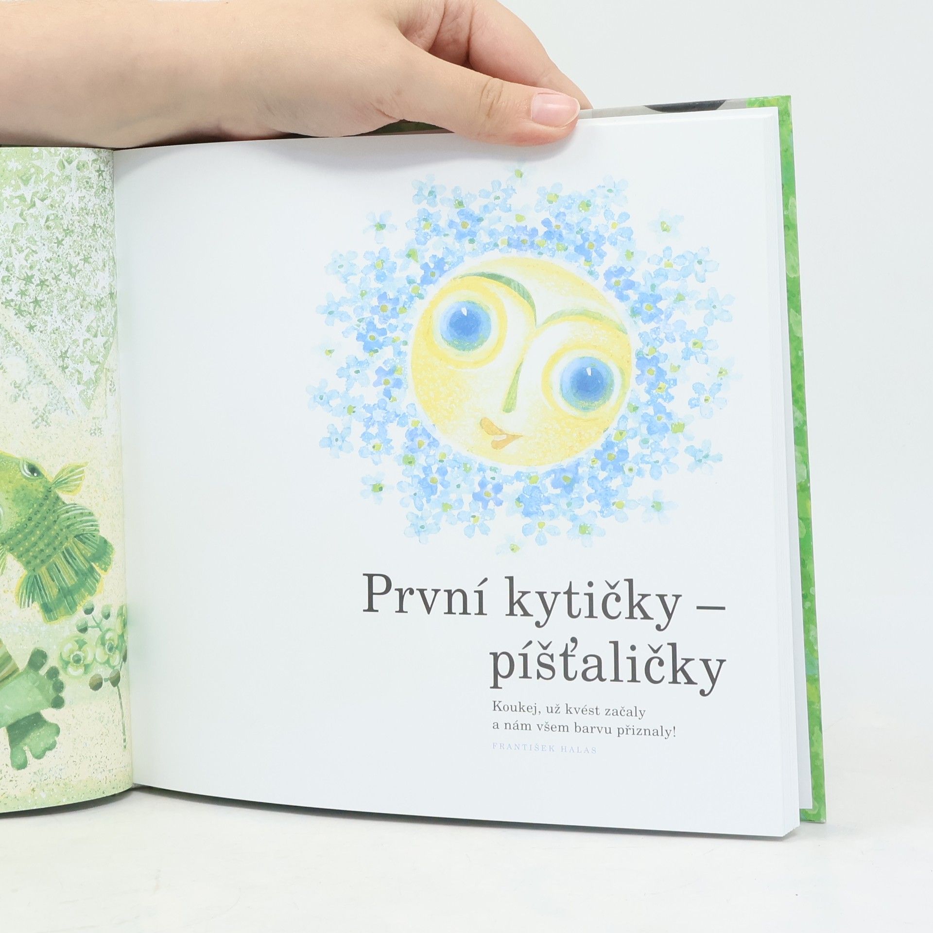 Jiřina Rákosníková Studánko rubínko