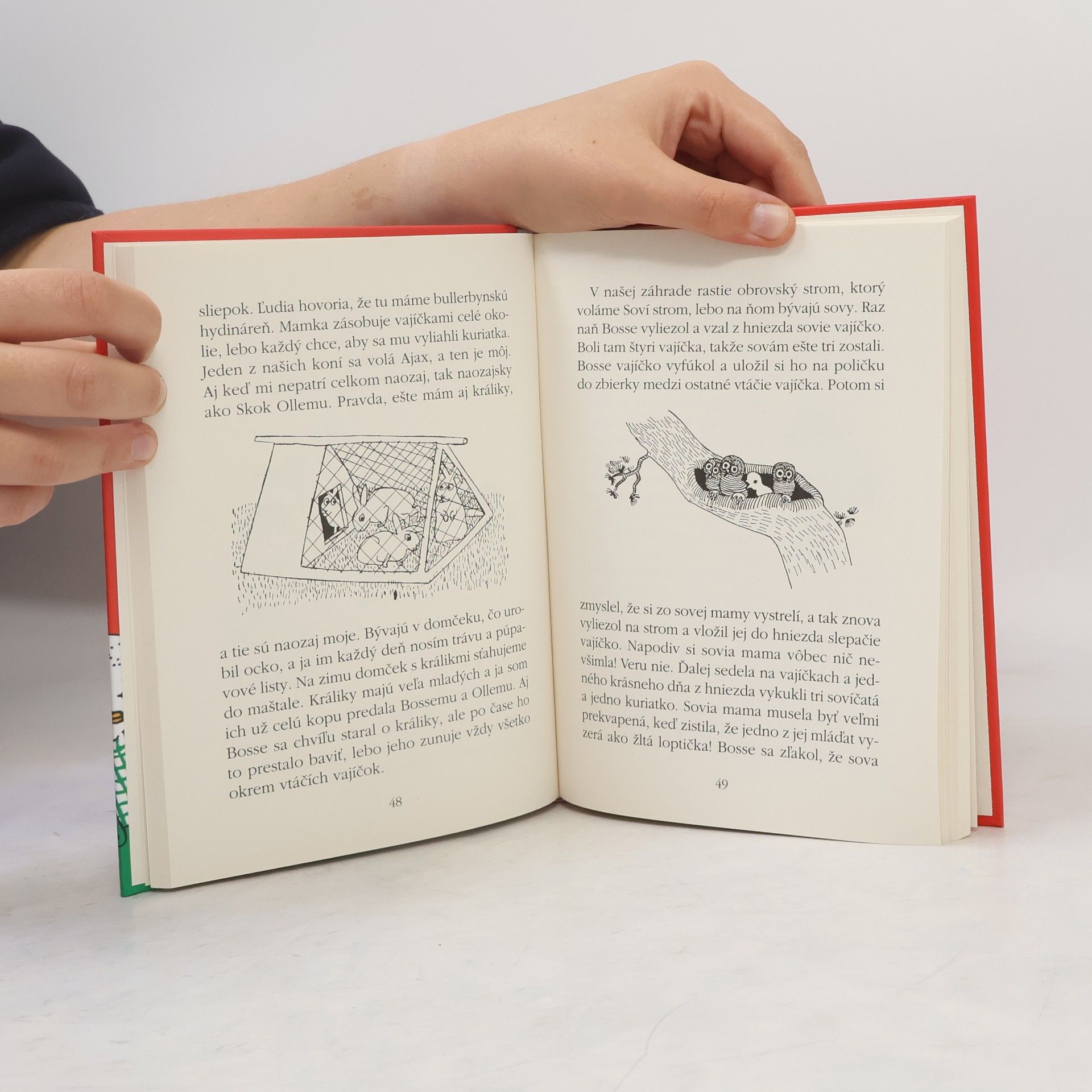 Astrid Lindgren My všetky deti z Bullerbynu