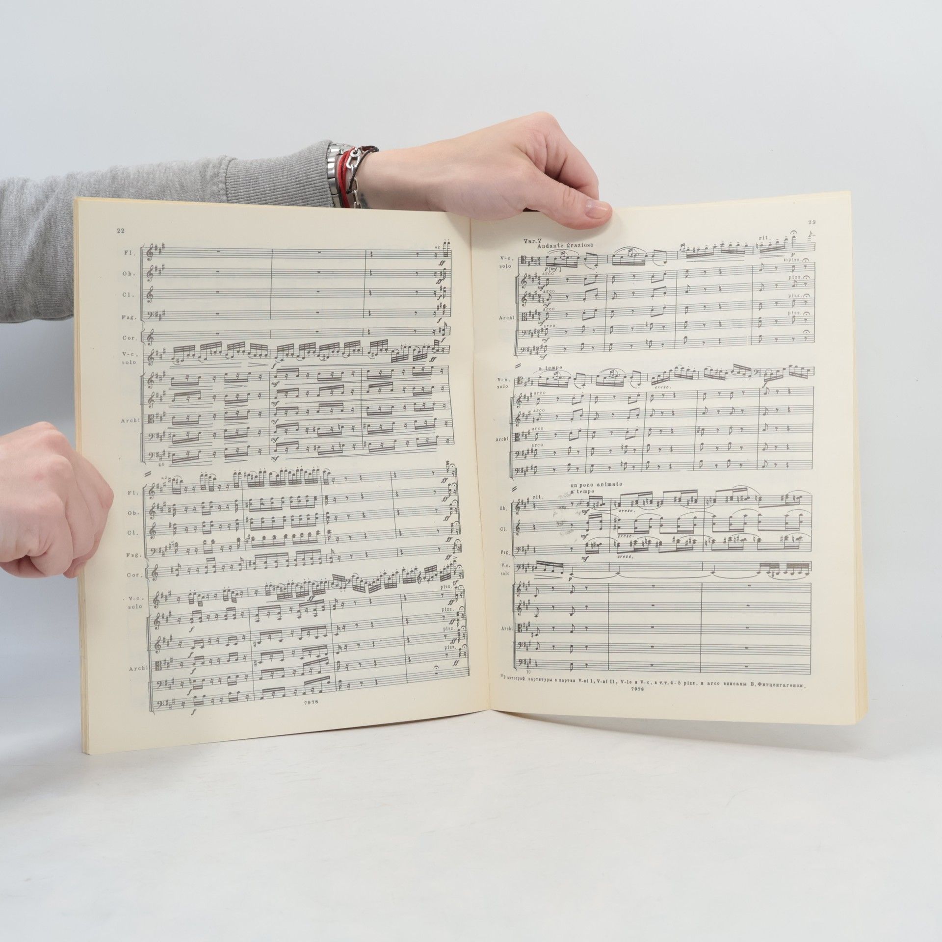 Petr Iljič Čajkovskij Variations on a Rococo Theme