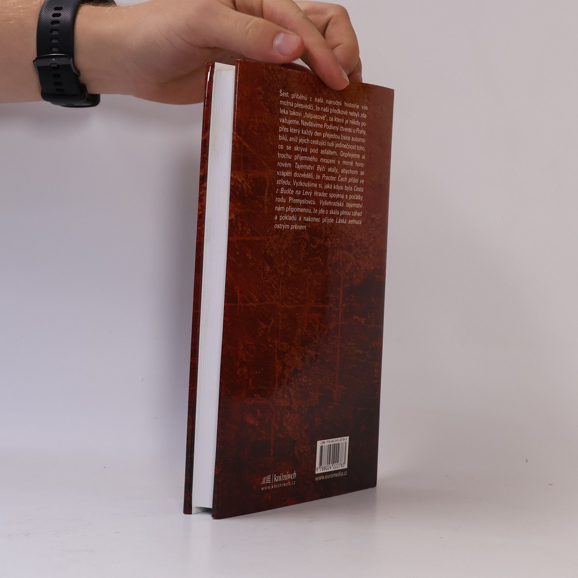 Jiří Bílek Záhady a taje české historie