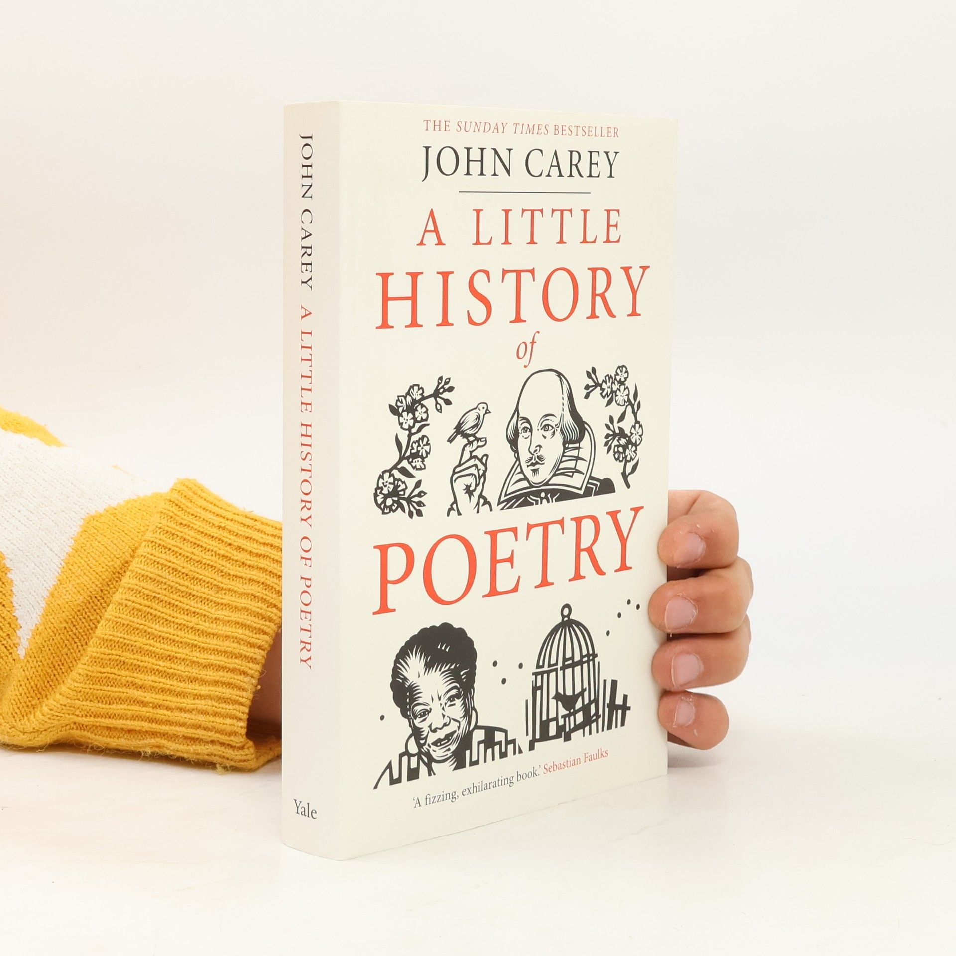 John Carey Little History of Poetry