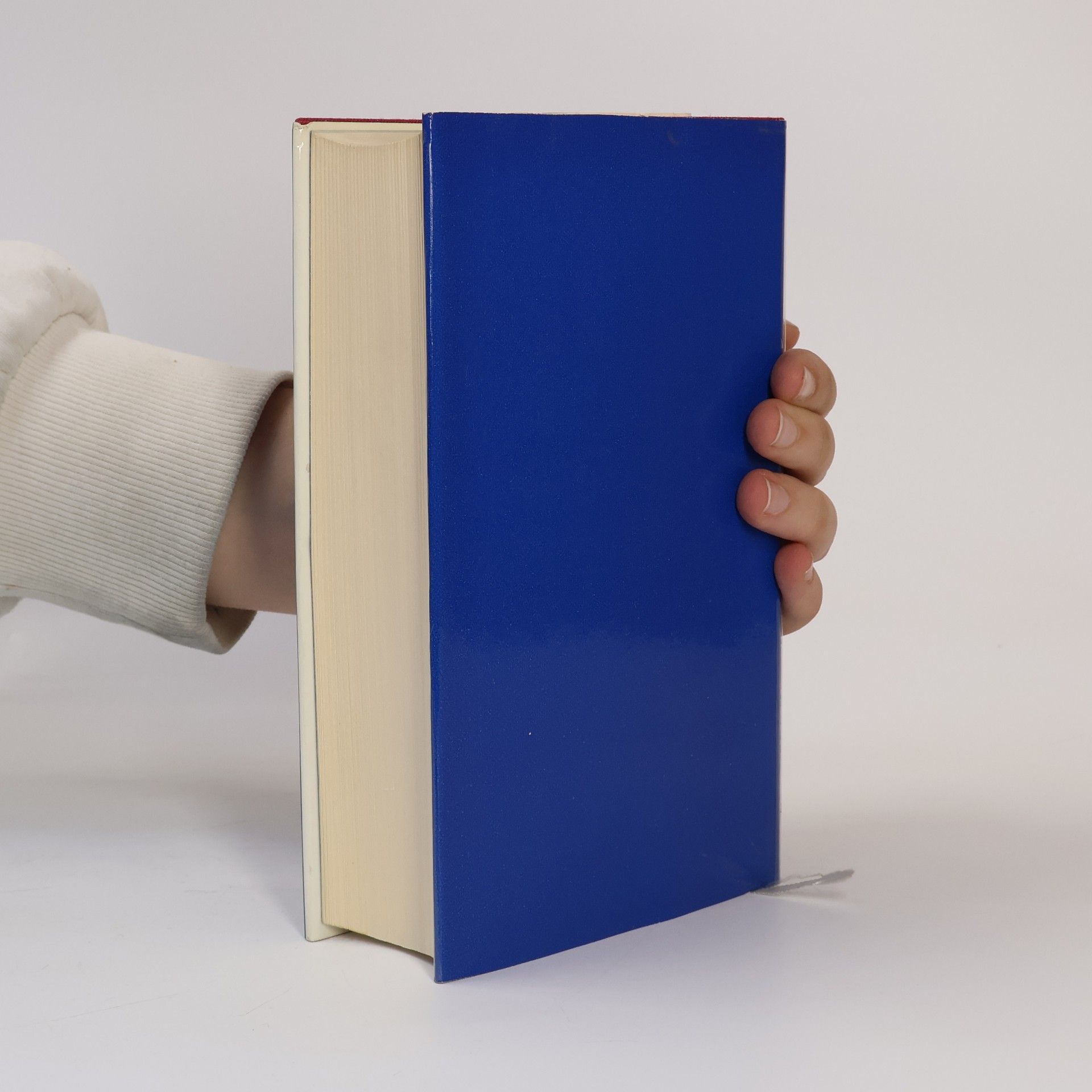 Robert Musil Der Mann ohne Eigenschaften 4