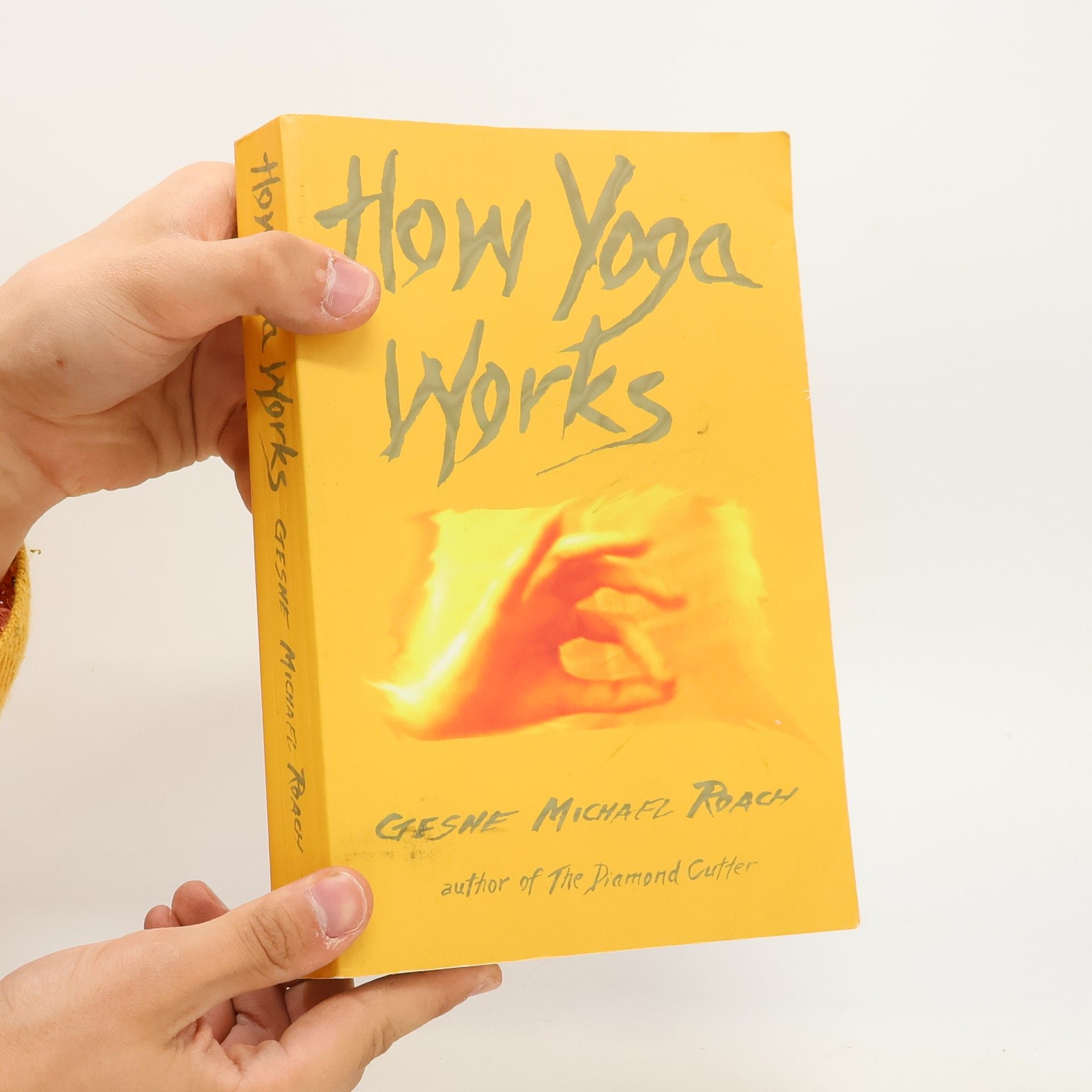 Geshe M. Roach How Yoga Works