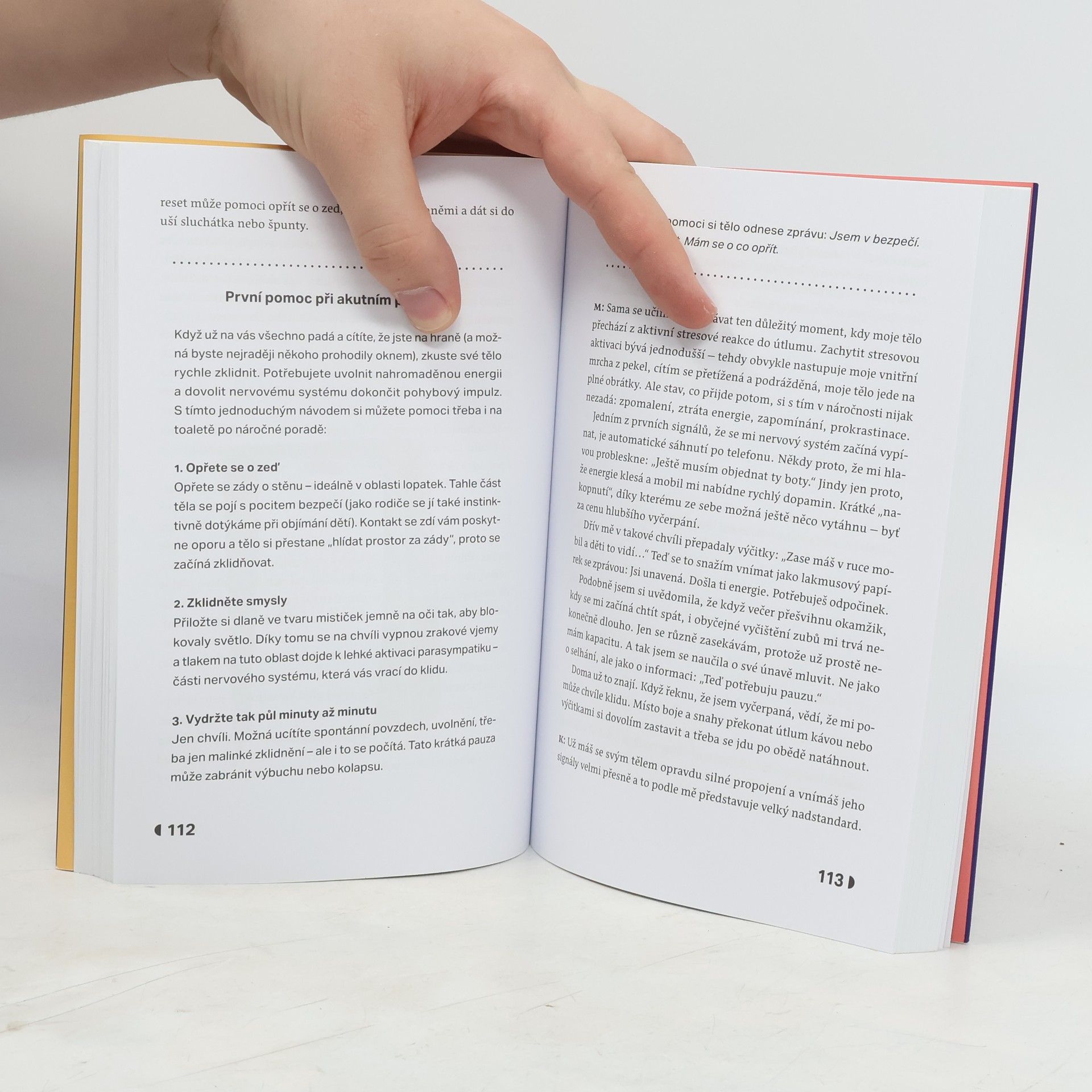 Kateřina Trávníček Přetíženy: z čeho pramení naše frustrace a kde najít úlevu