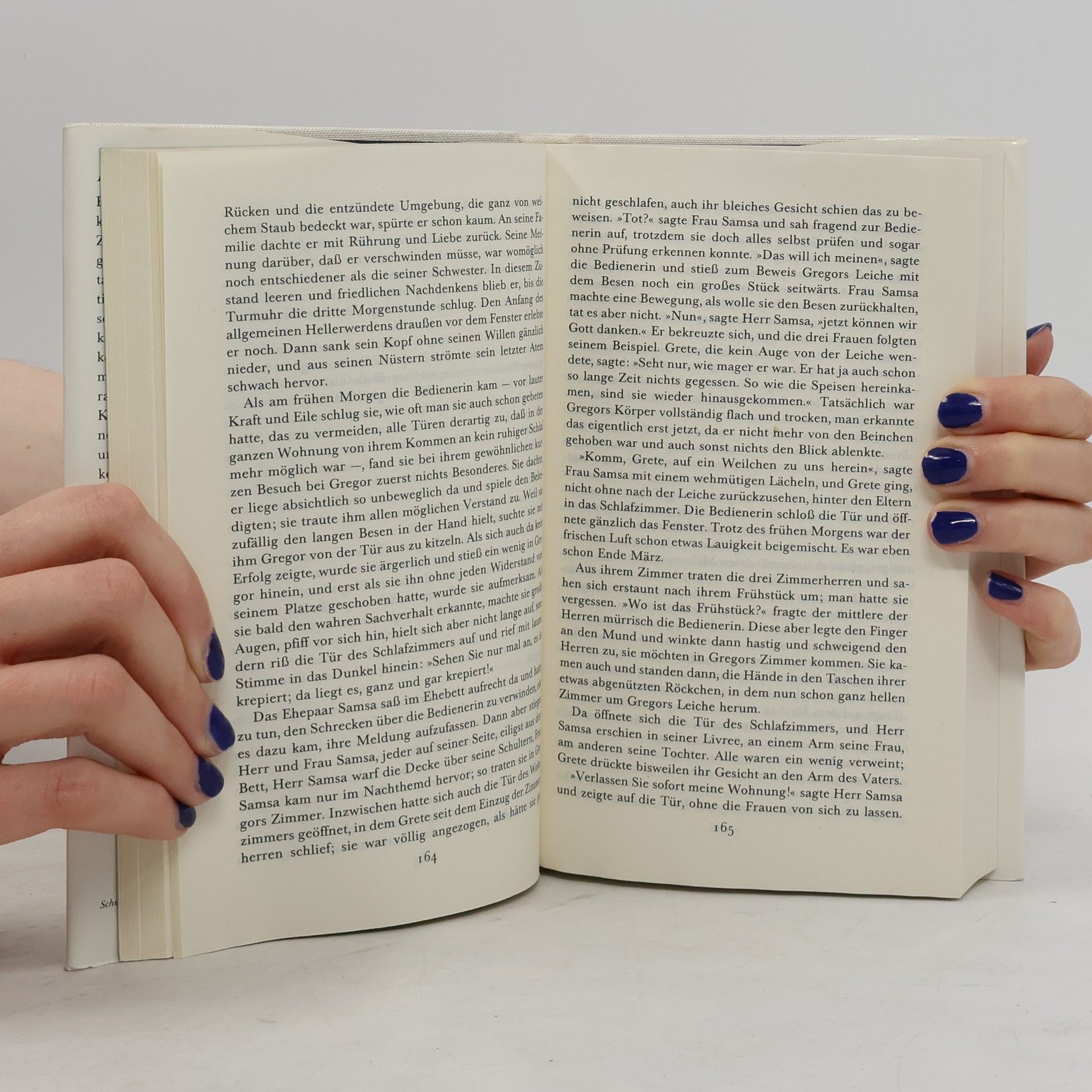 Franz Kafka Das erzählerische Werk I. Erzählungen. Aphorismen. Brief an den Vater
